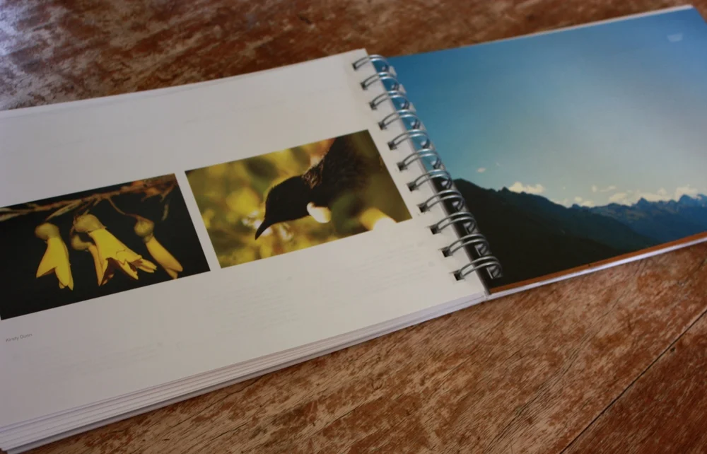 The Kiwi Diary 2014