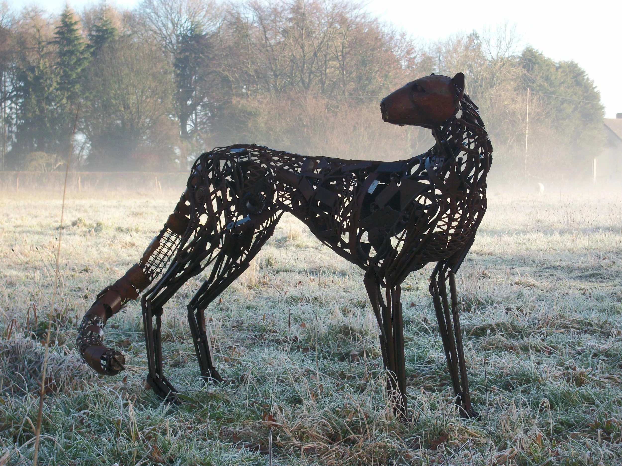 Cheetah in the Mist.jpg