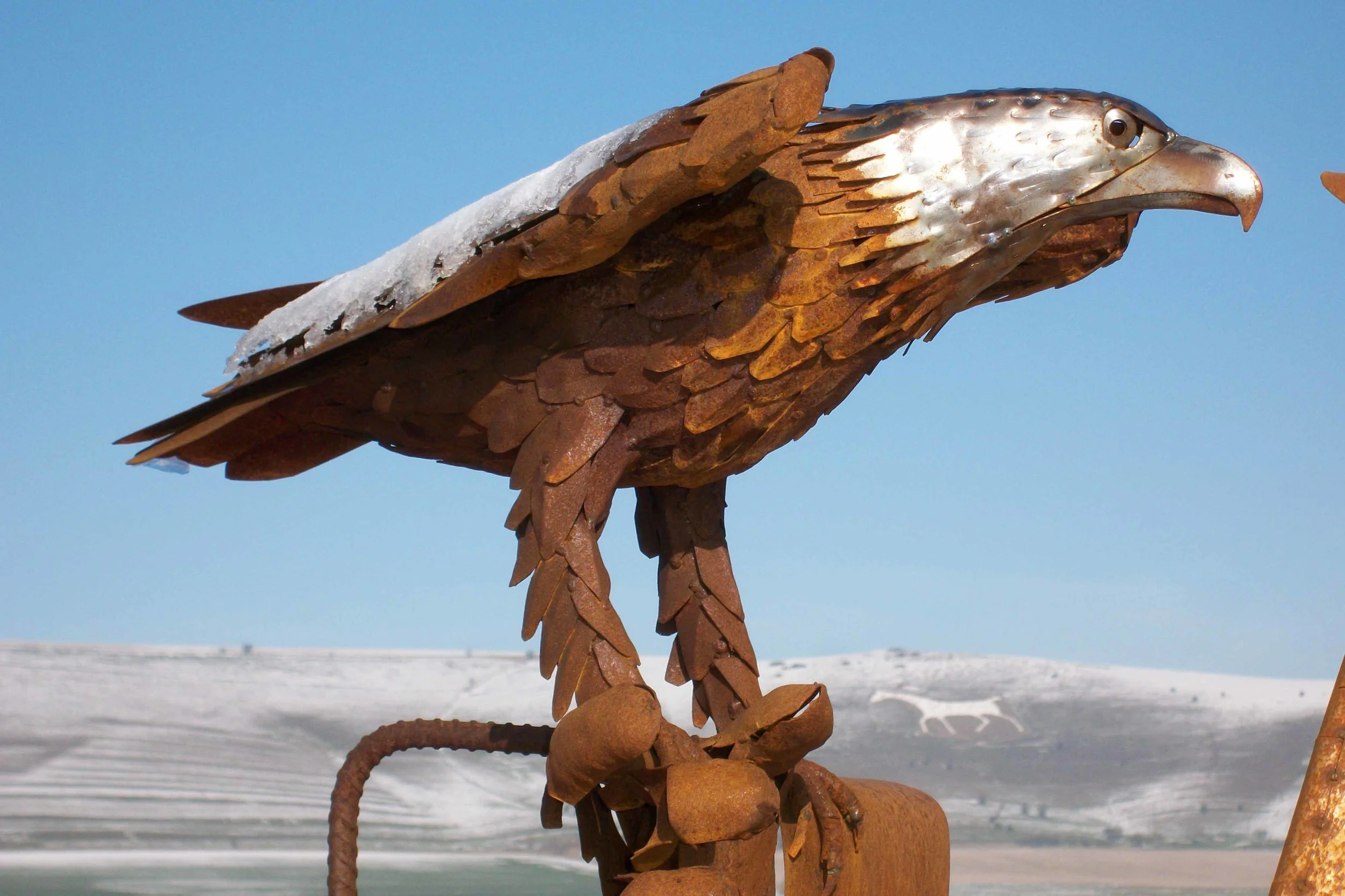 Fish Eagle.jpg