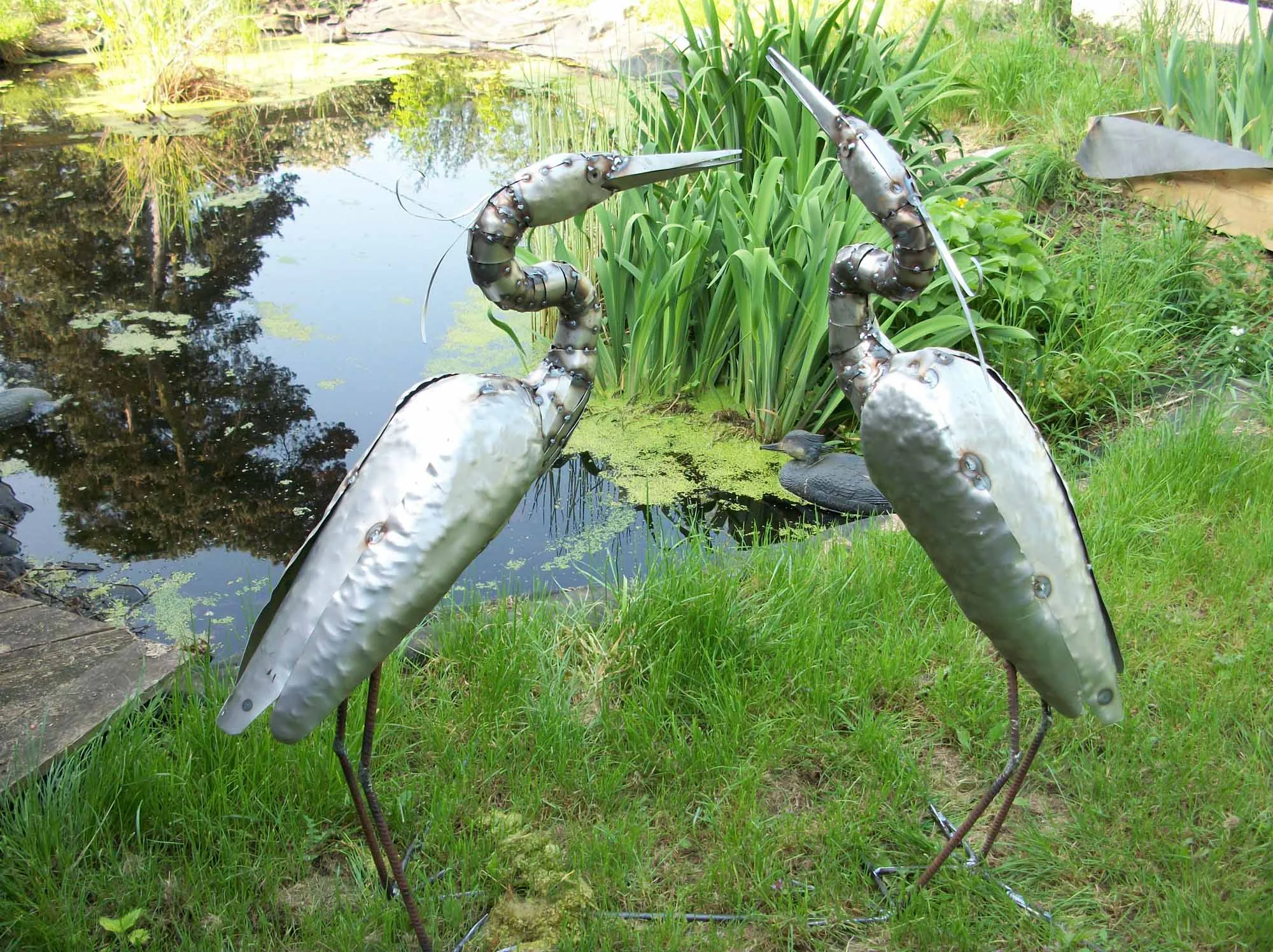 Herons.jpg