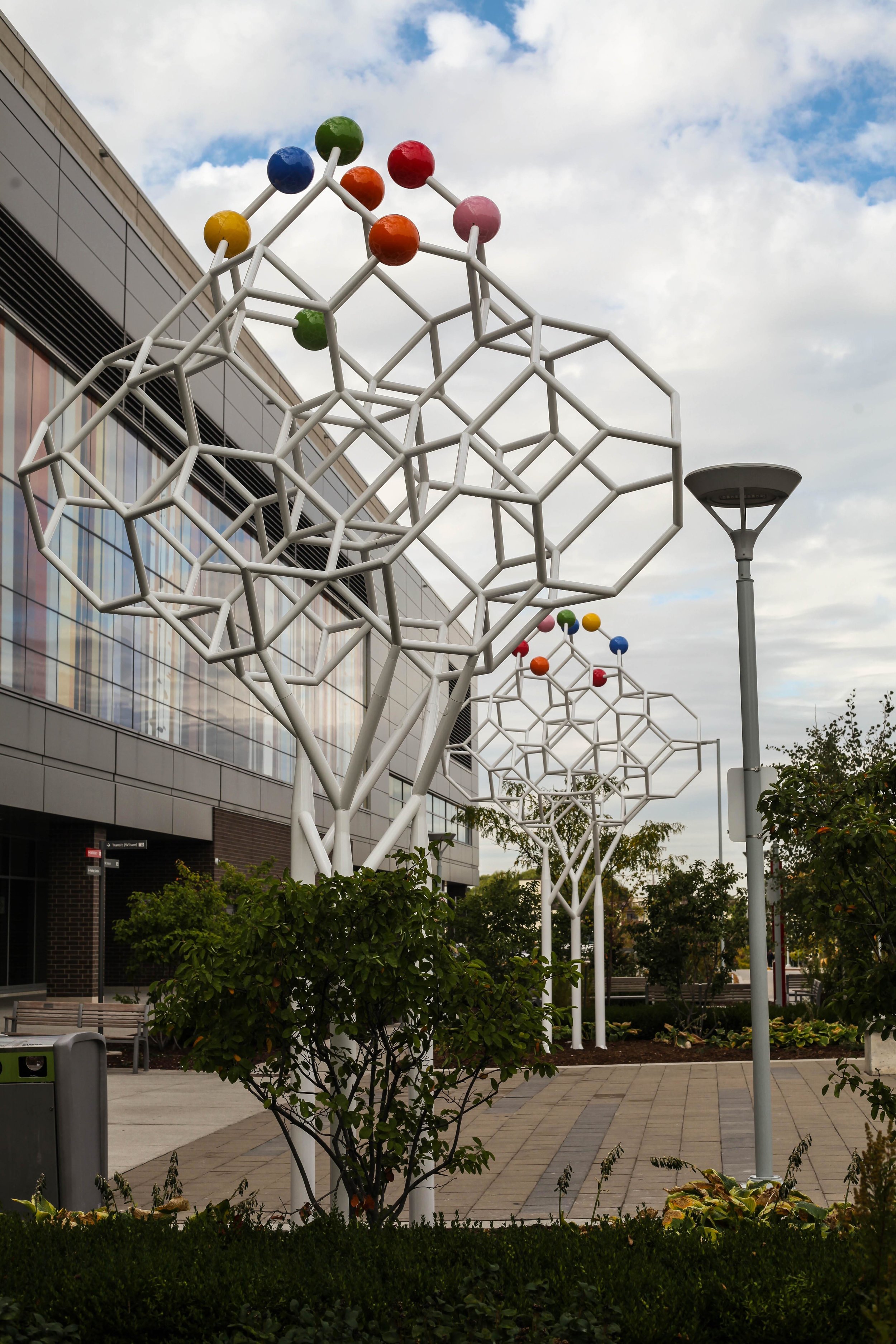 Molecular Trees @ Humber River Regional Hospital