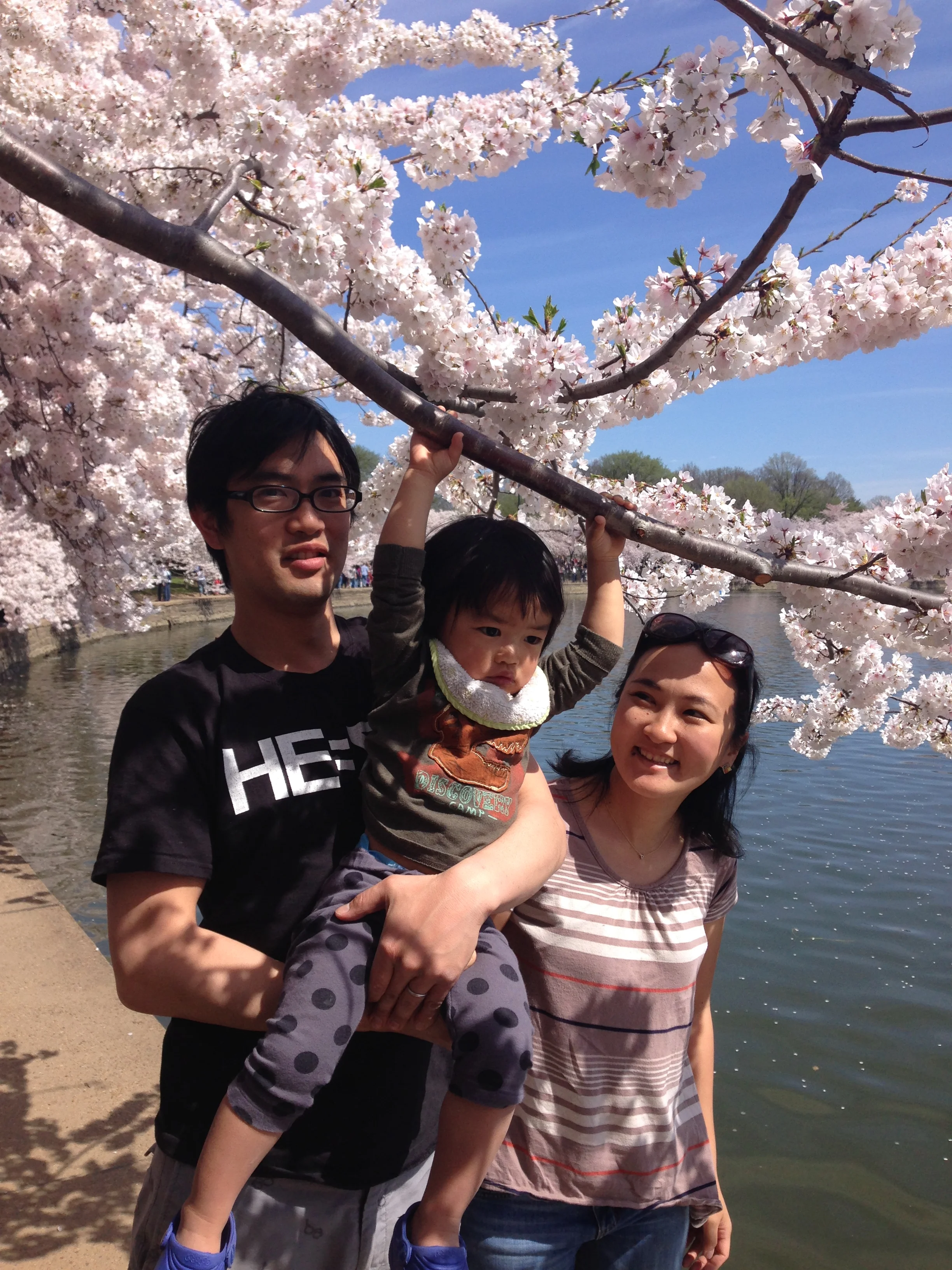 Kanata,de 22 meses, com o pai (Kensuke Arai) e a mãe (Madoka Arai): família japonesa visitando as cerejeiras.