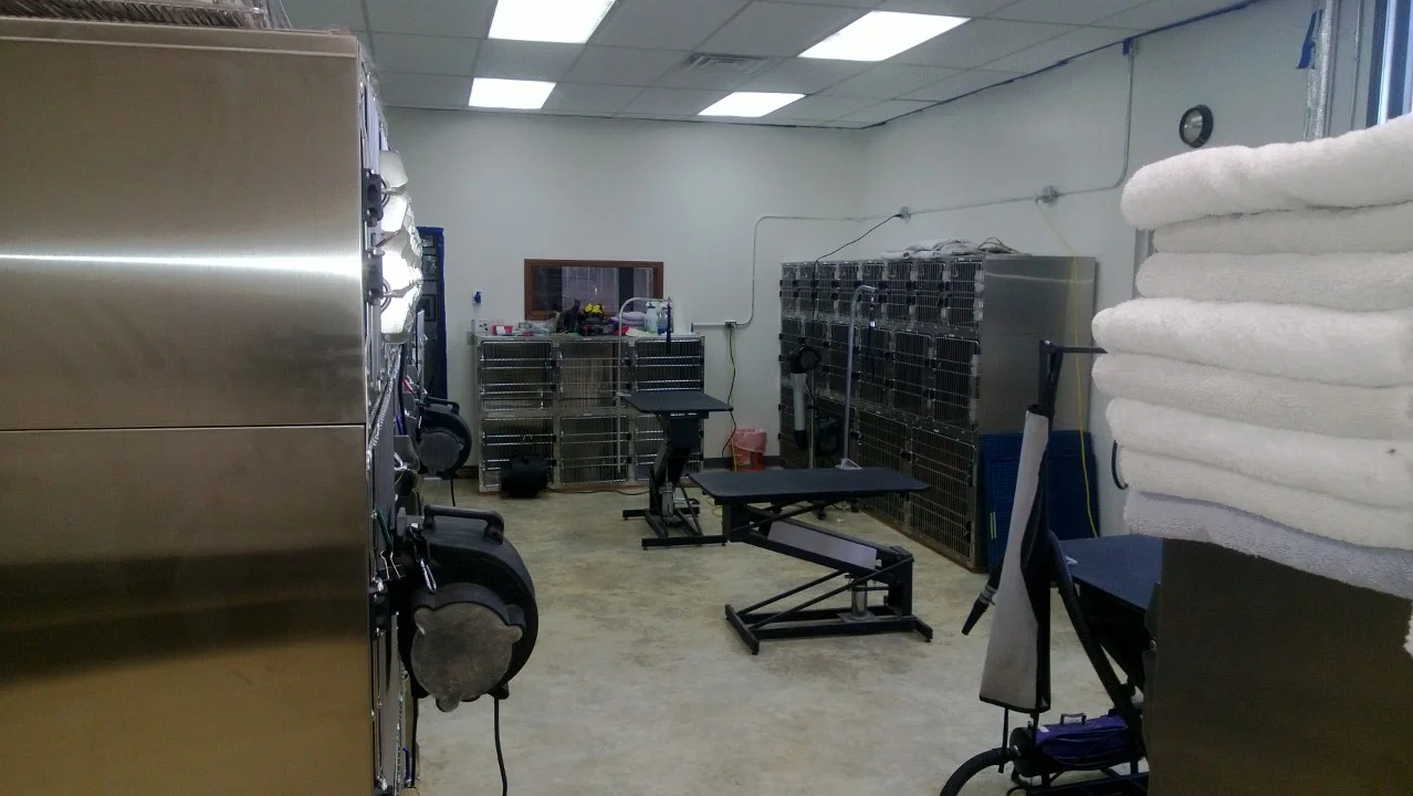 backroom1.jpg