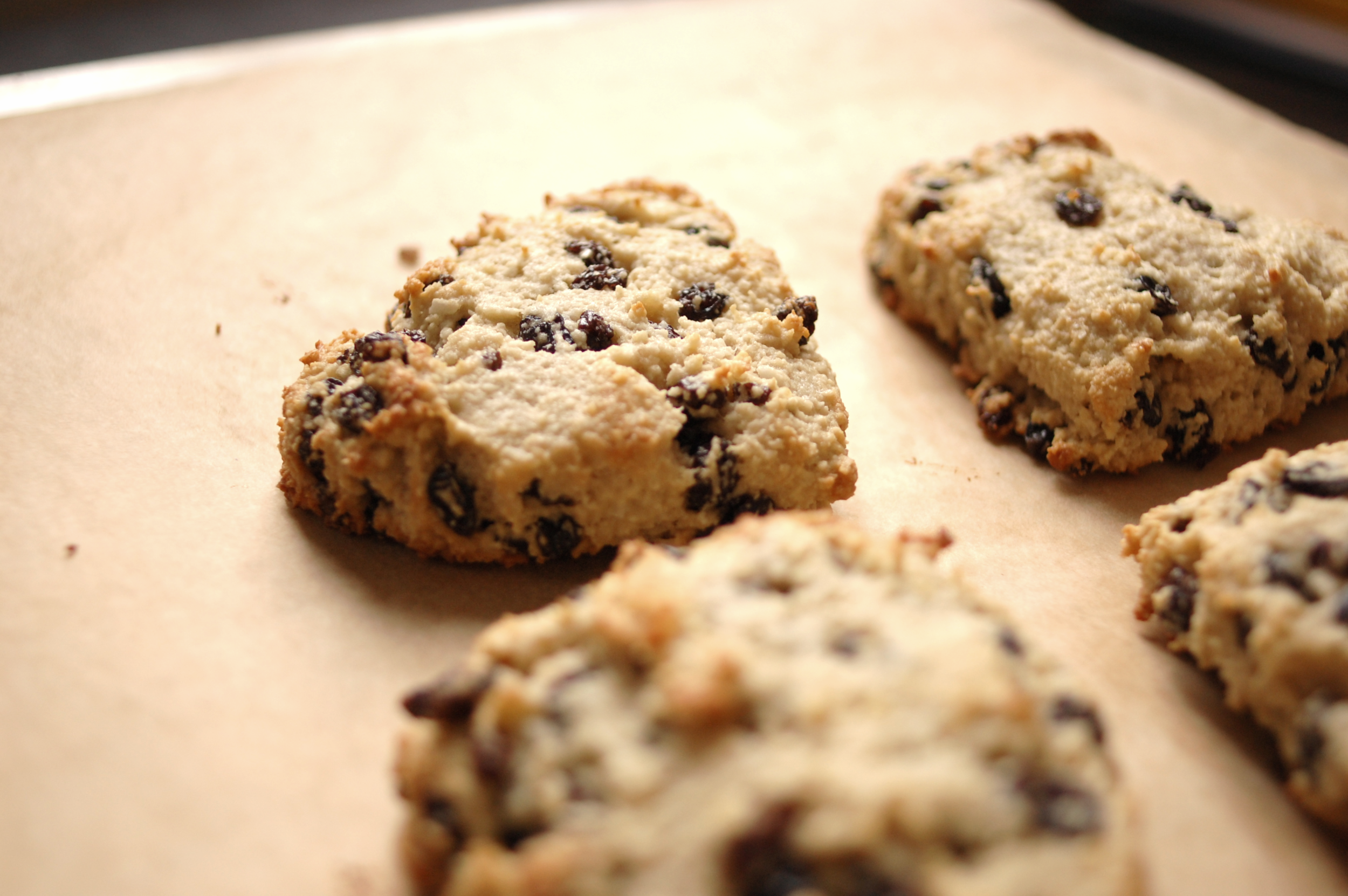 maple syrup almond meal scones