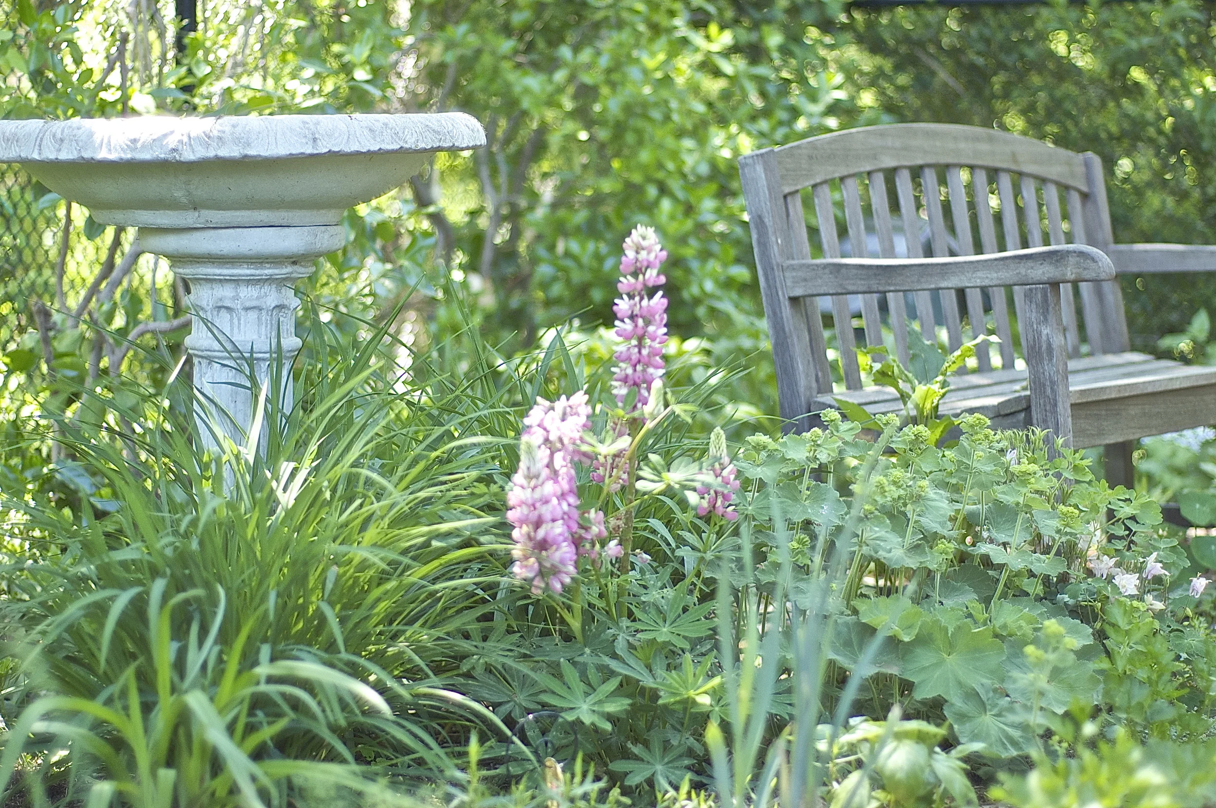 DSC_0068.jpg