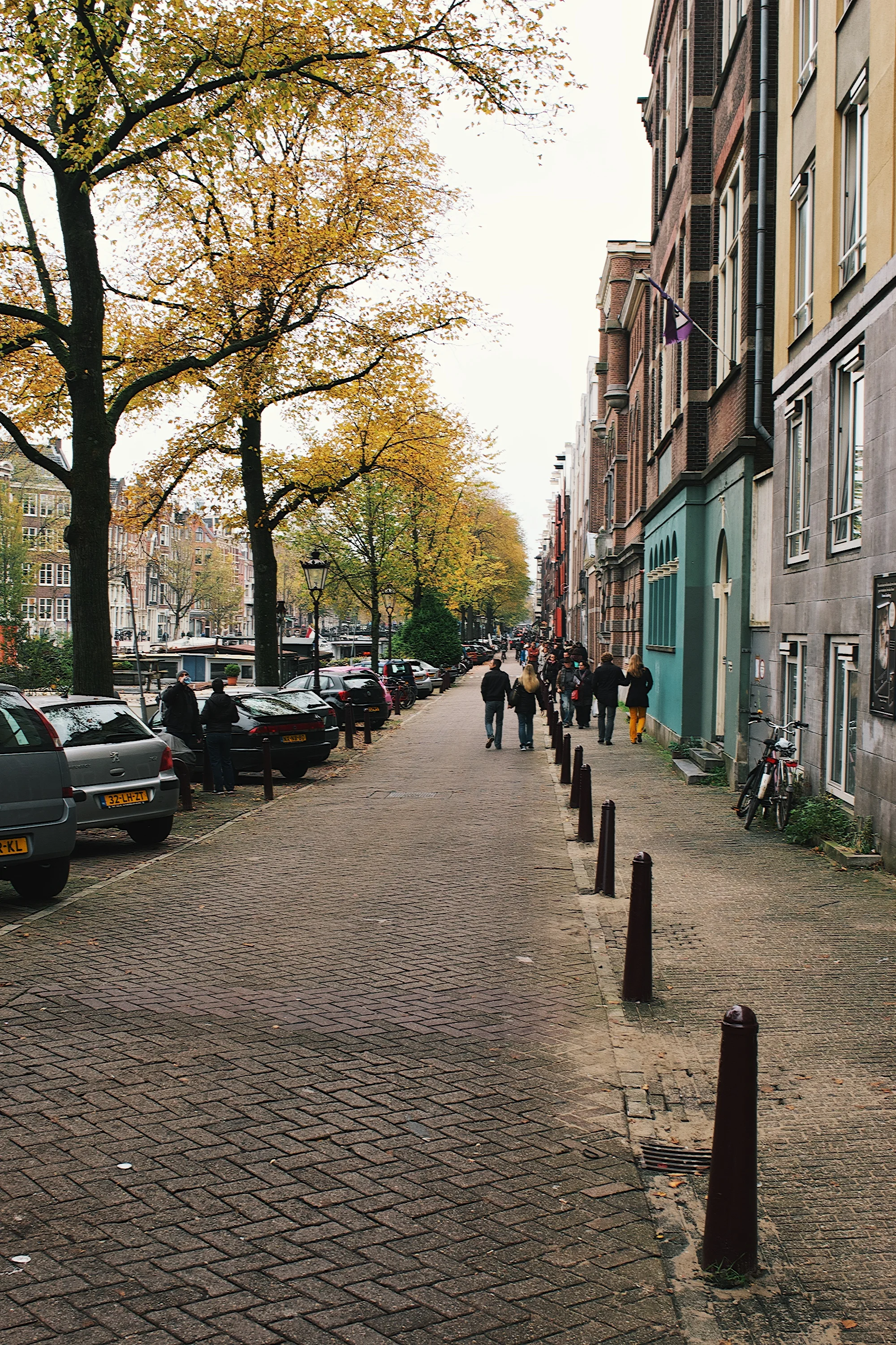 DSC_1275.jpg