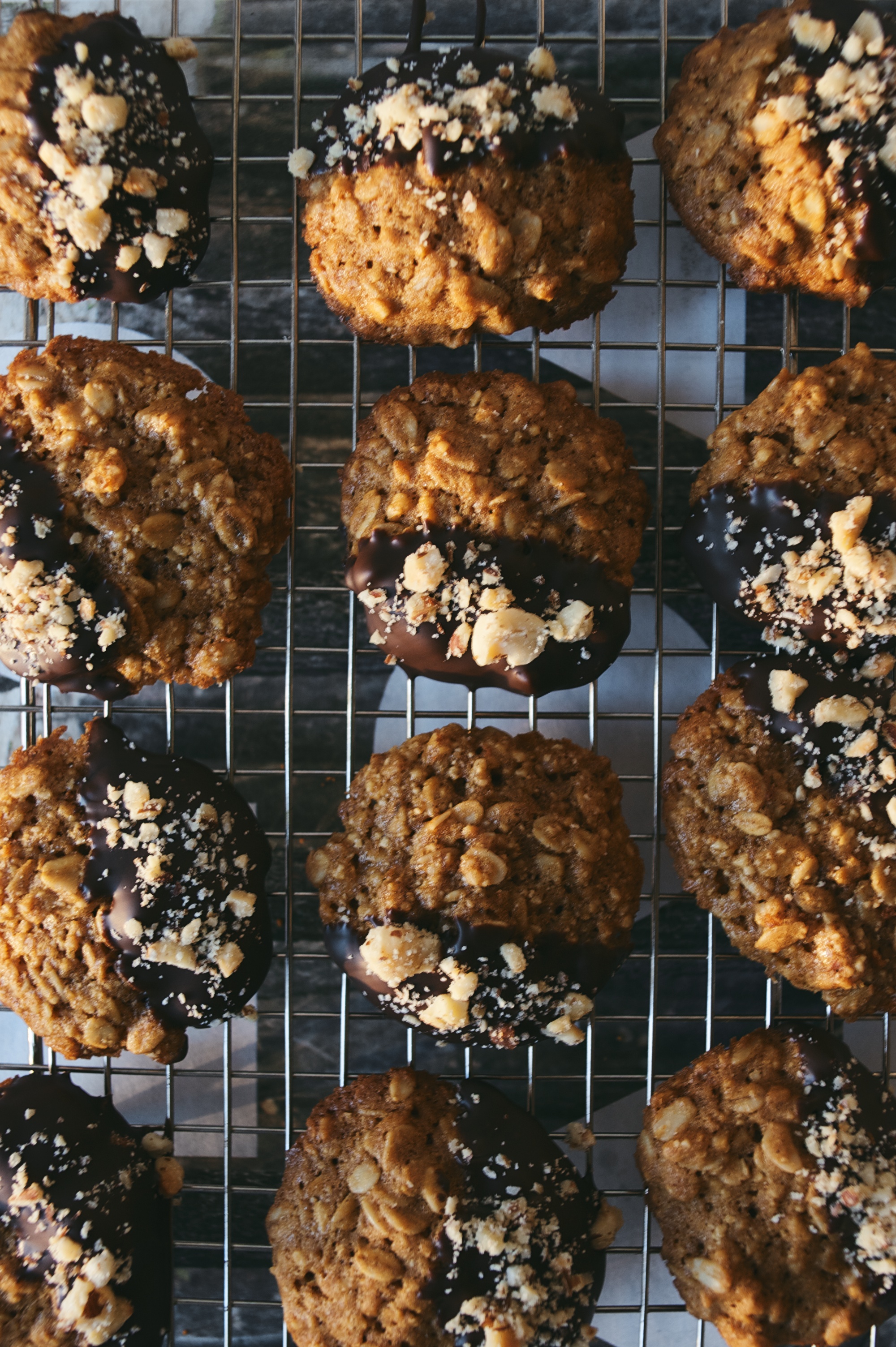 chocolate dipped, oatmealhazelnut cookies — dolly and oatmeal