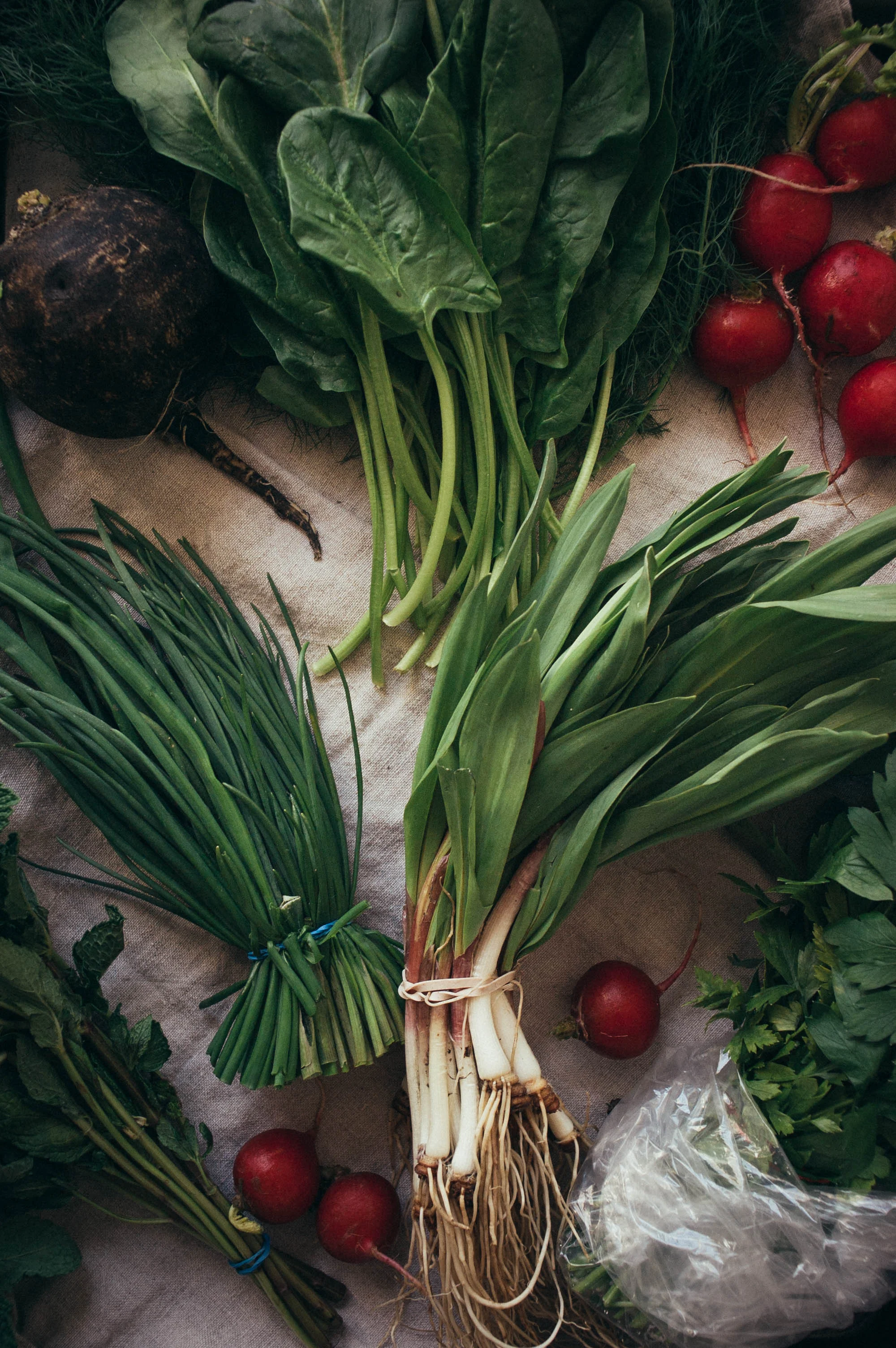 Spring fattoush salad