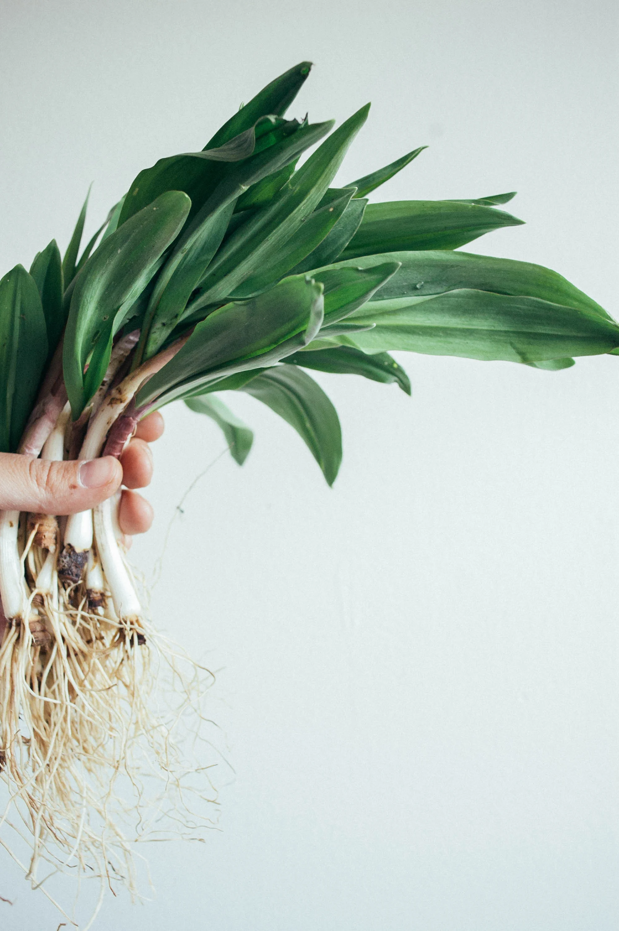 Spring fattoush salad