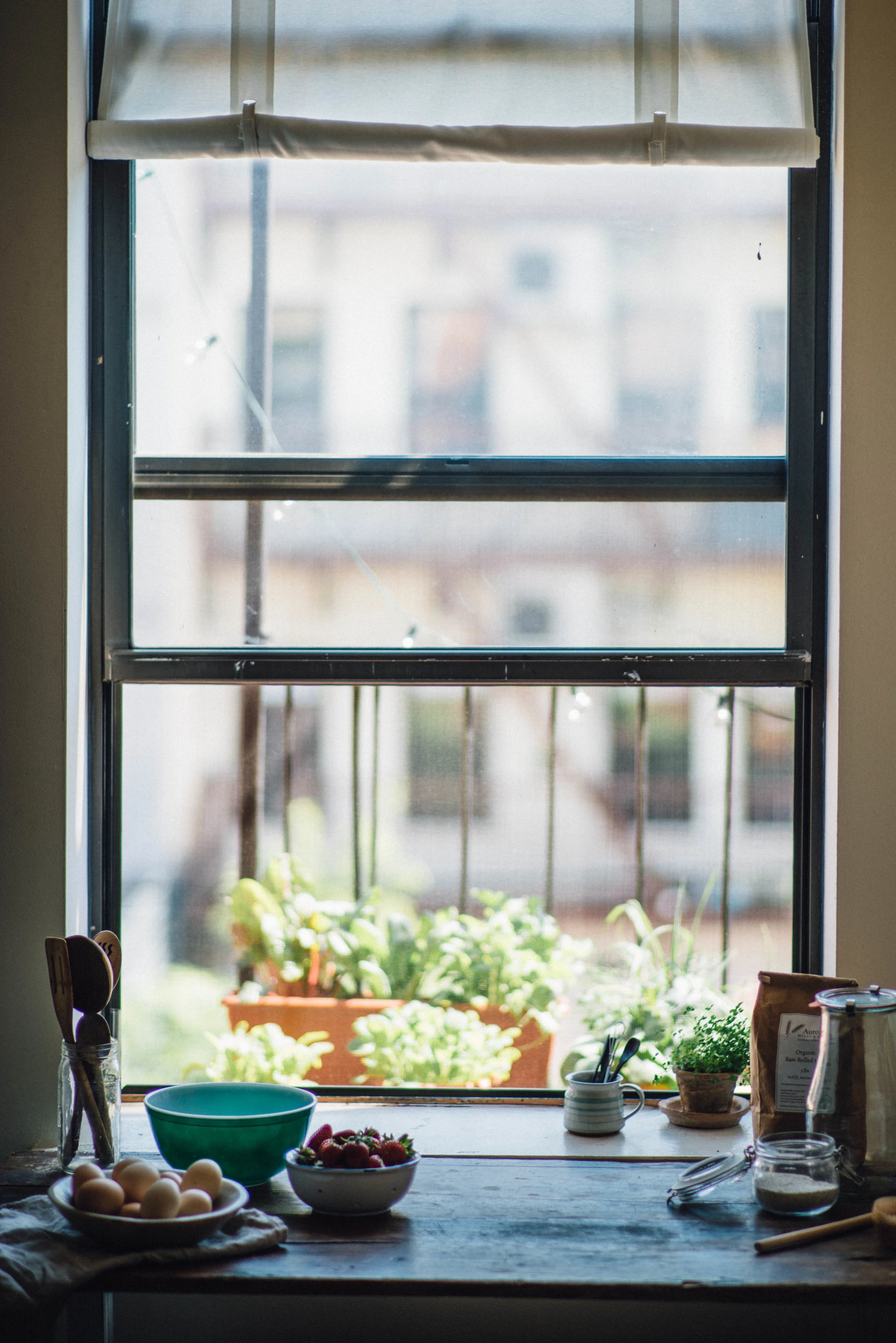 strawberry-oat cacao muffins | dolly and oatmeal