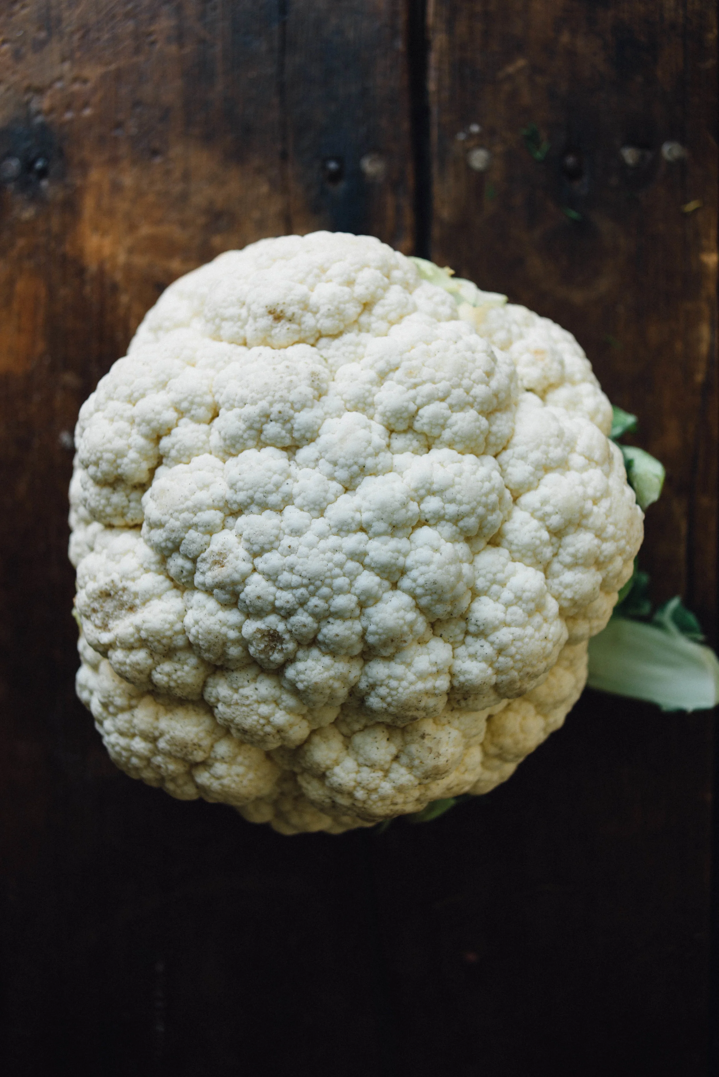 cauliflower
