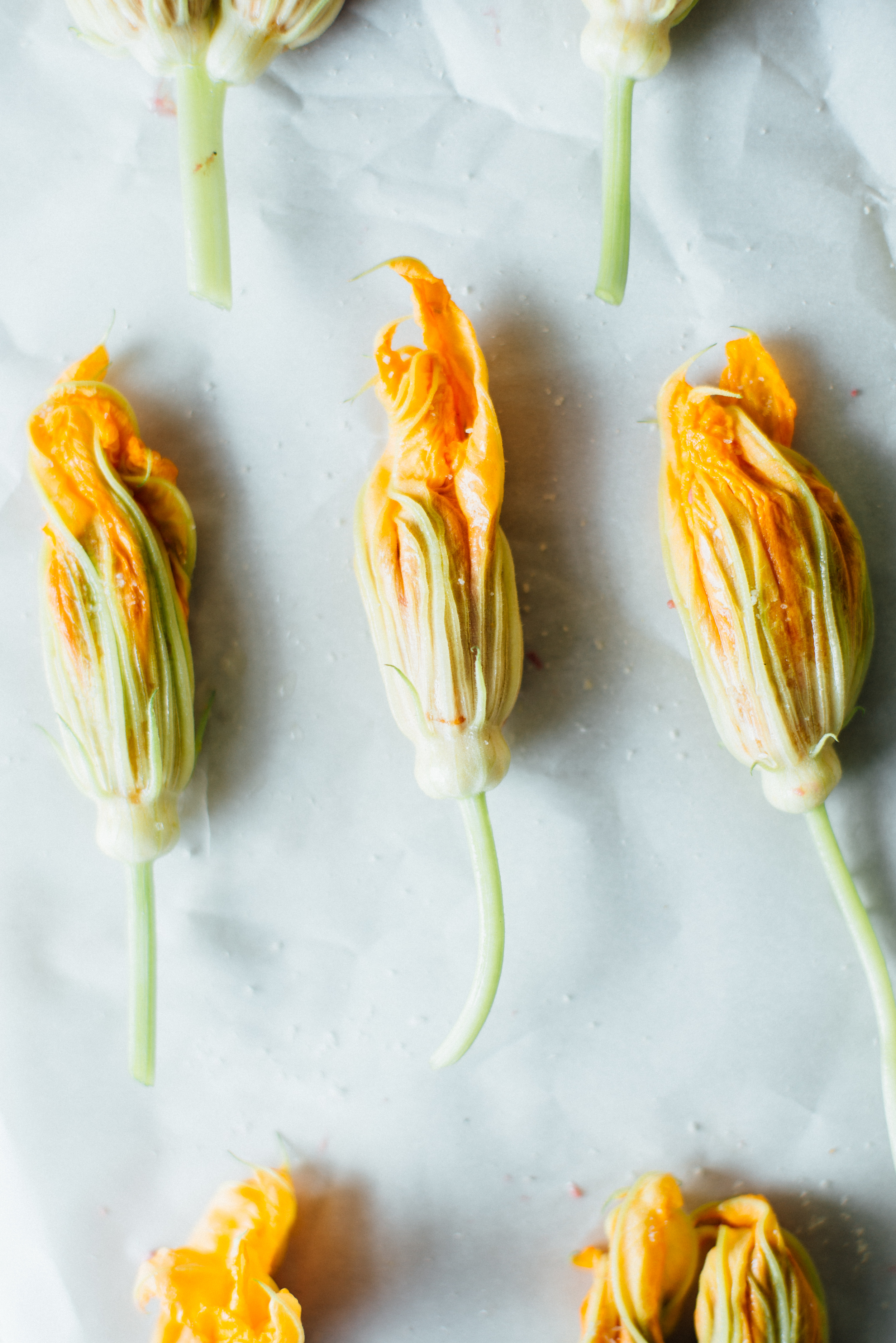 hummus-stuffed squash blossoms | dolly and oatmeal