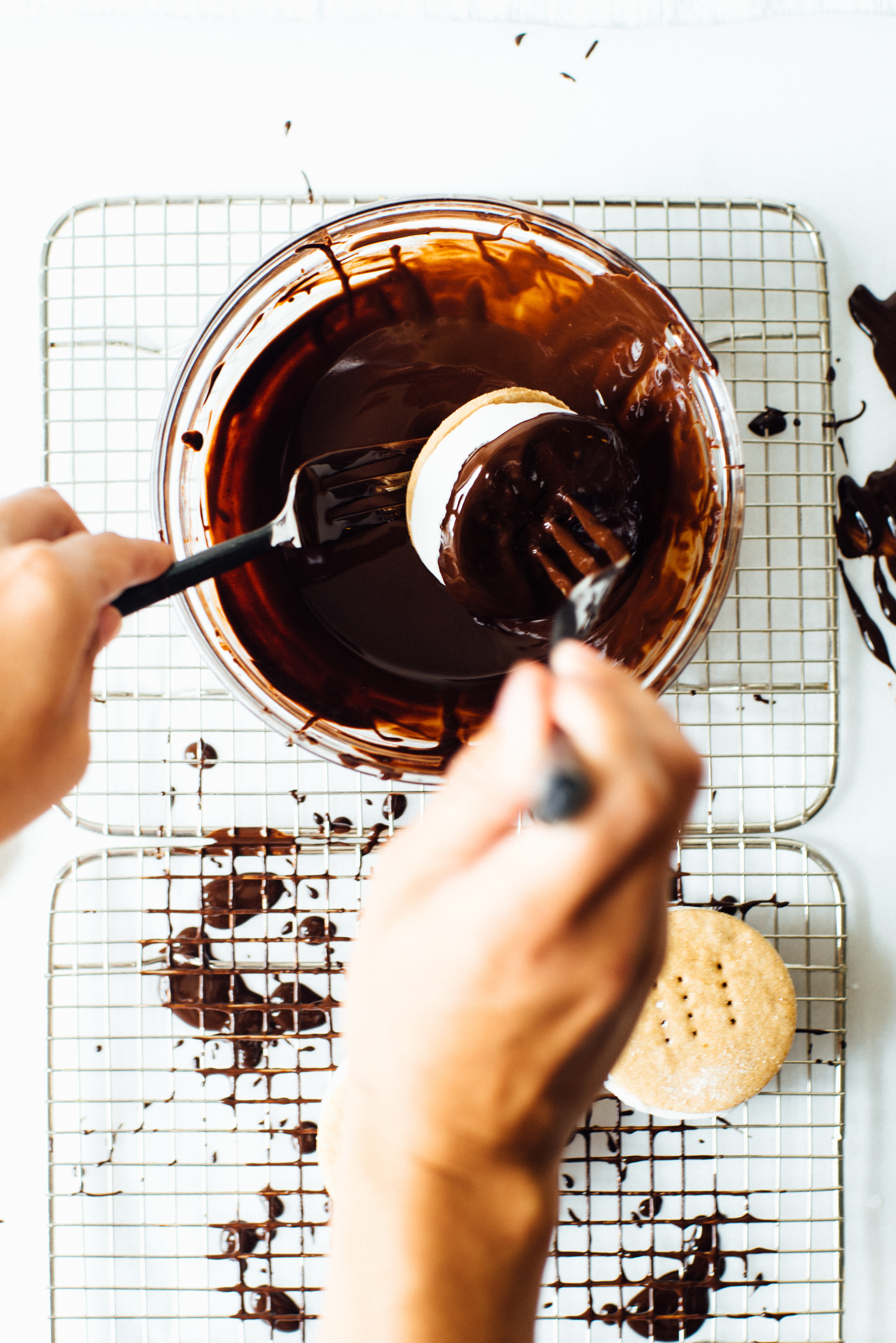 vegan frozen s'more sandwiches | dolly and oatmeal