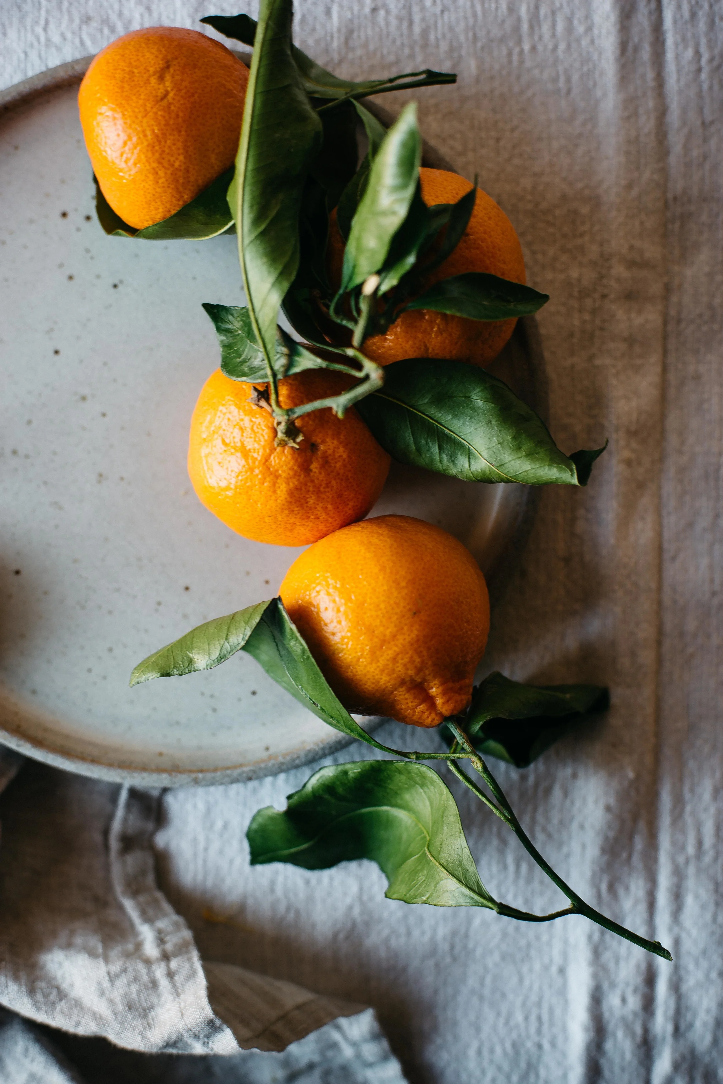 satsumas | dolly and oatmeal