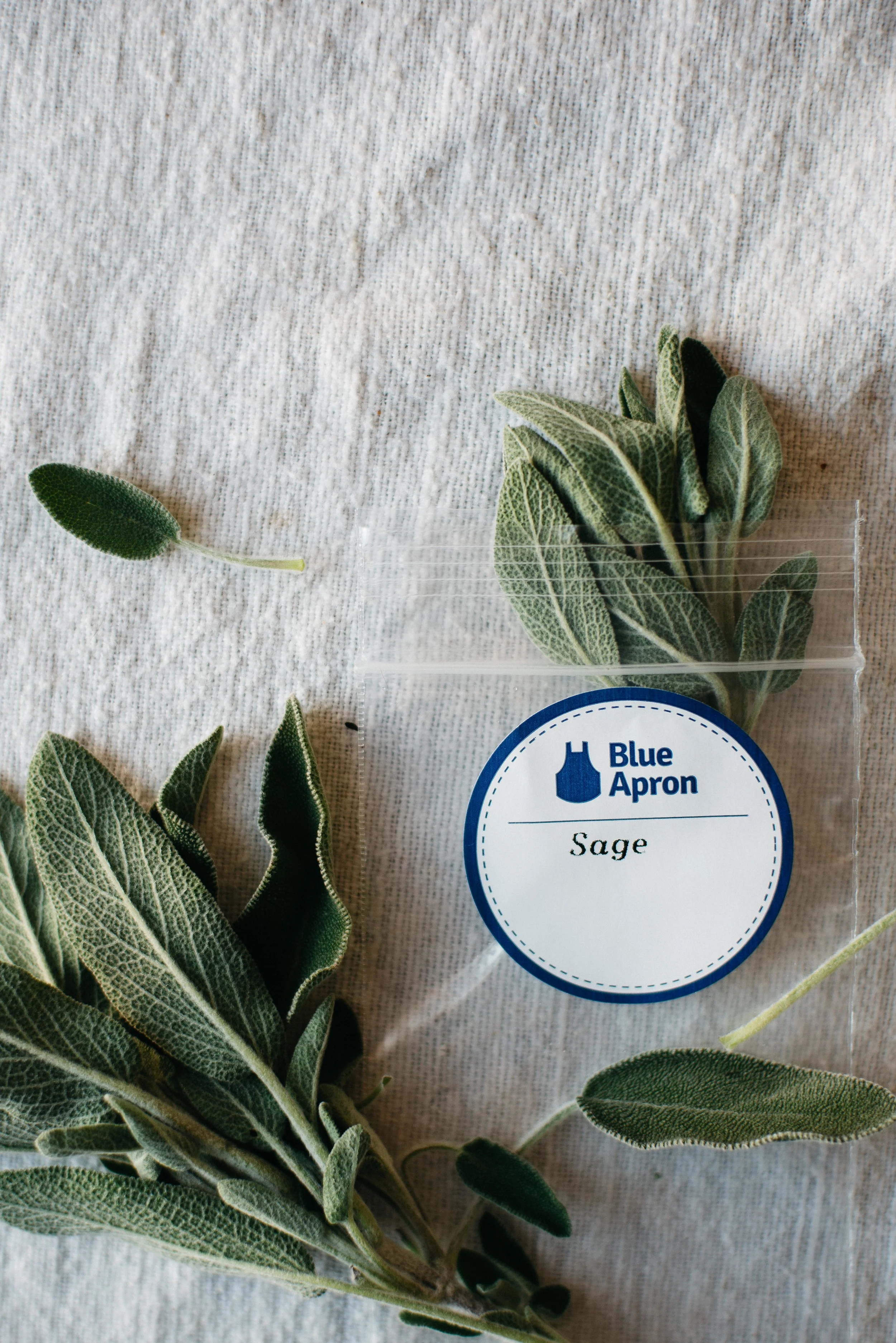 warm squash, parsnip + kale salad w/ pomegranate dressing | dolly and oatmeal