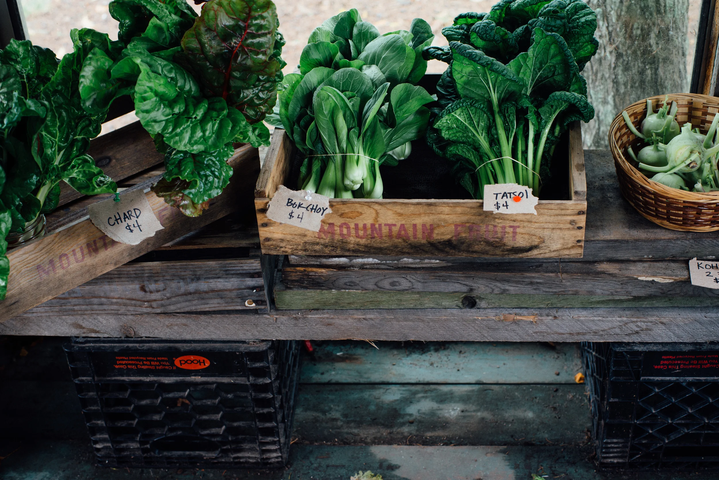 beetlebung farm | dolly and oatmeal