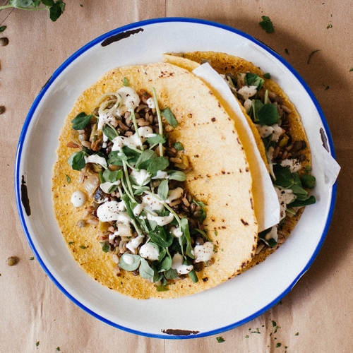 mujadra tacos w/ leeks spring herbs + pea tendrils