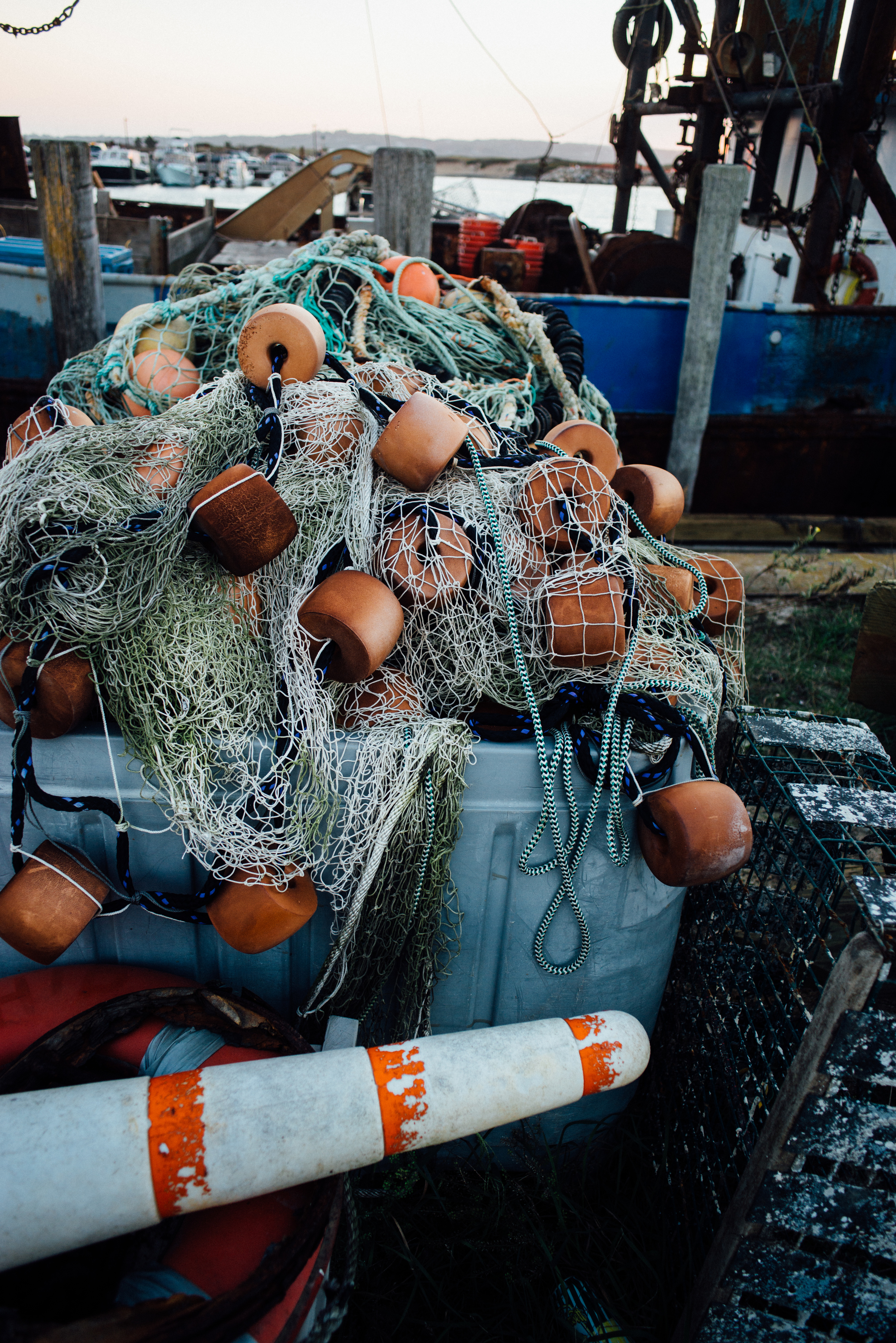 martha's vineyard | dolly and oatmeal