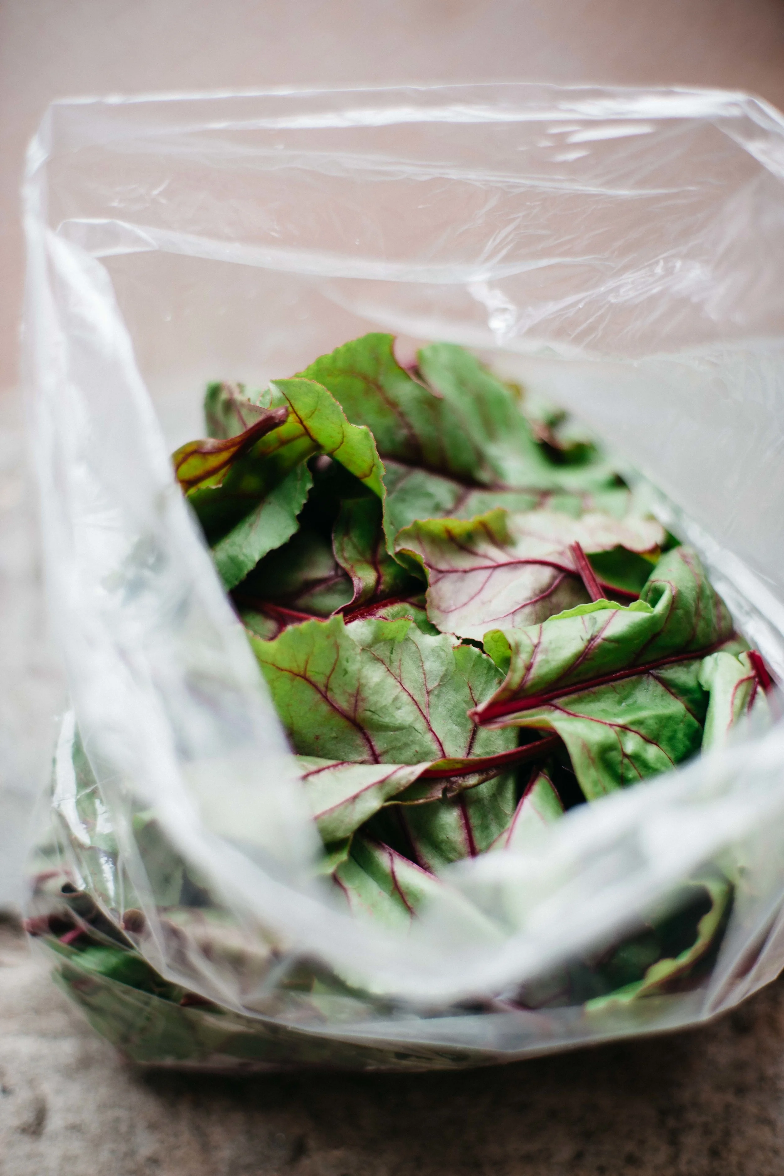 summer socca salad | dolly and oatmeal