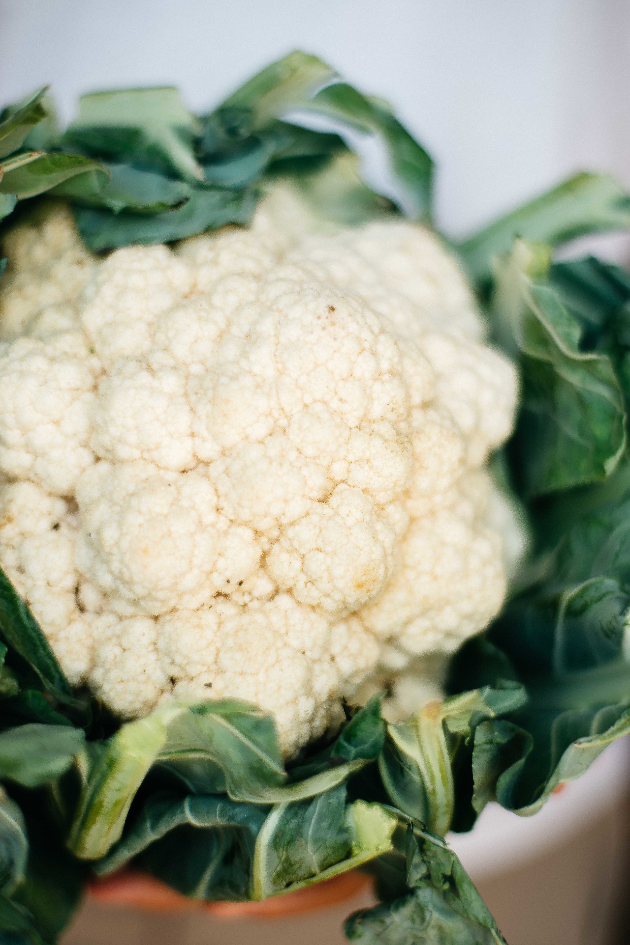 heidi's cauliflower pasta | dolly and oatmeal