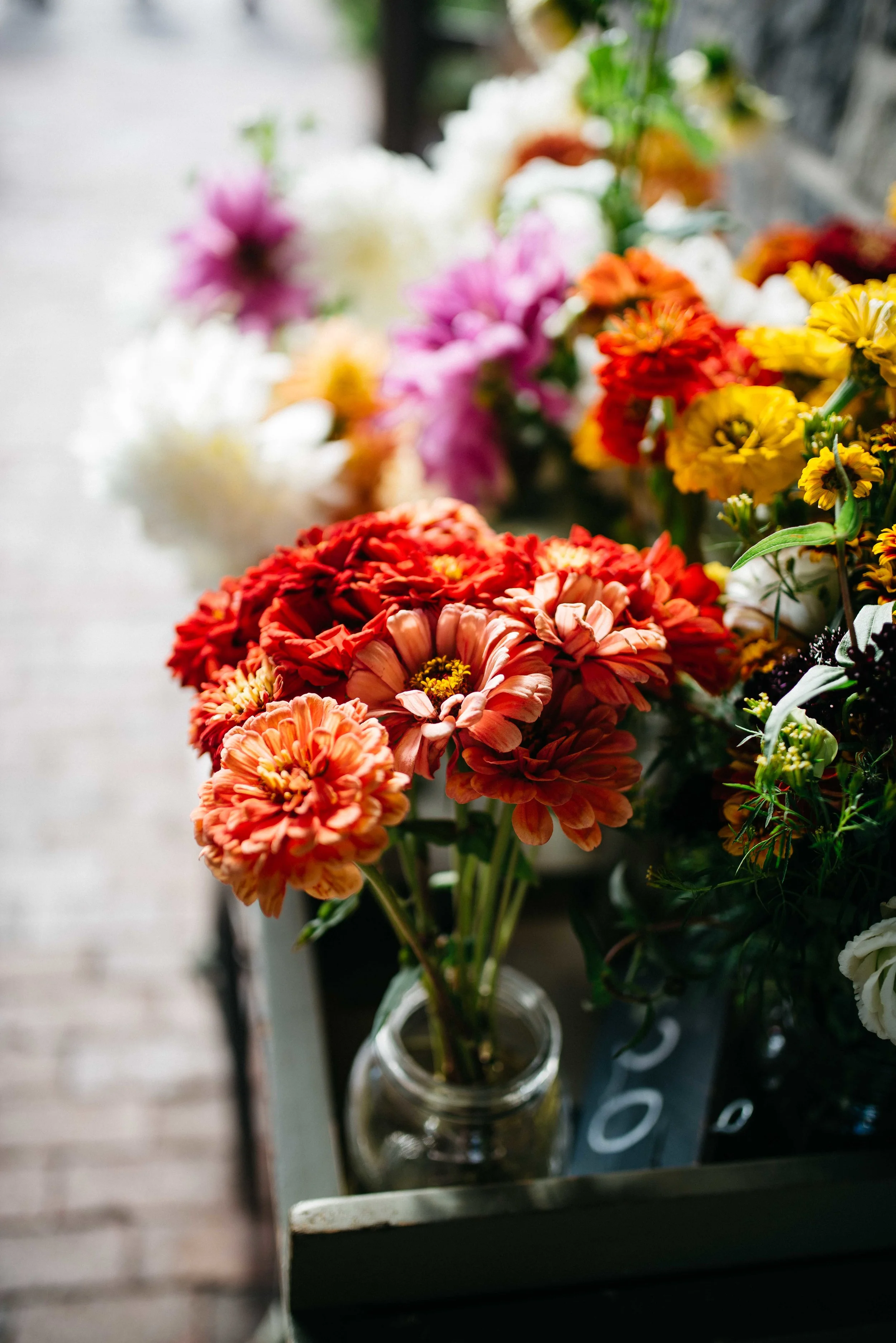 a day at stone barns - pocantico-hills, ny | dolly and oatmeal