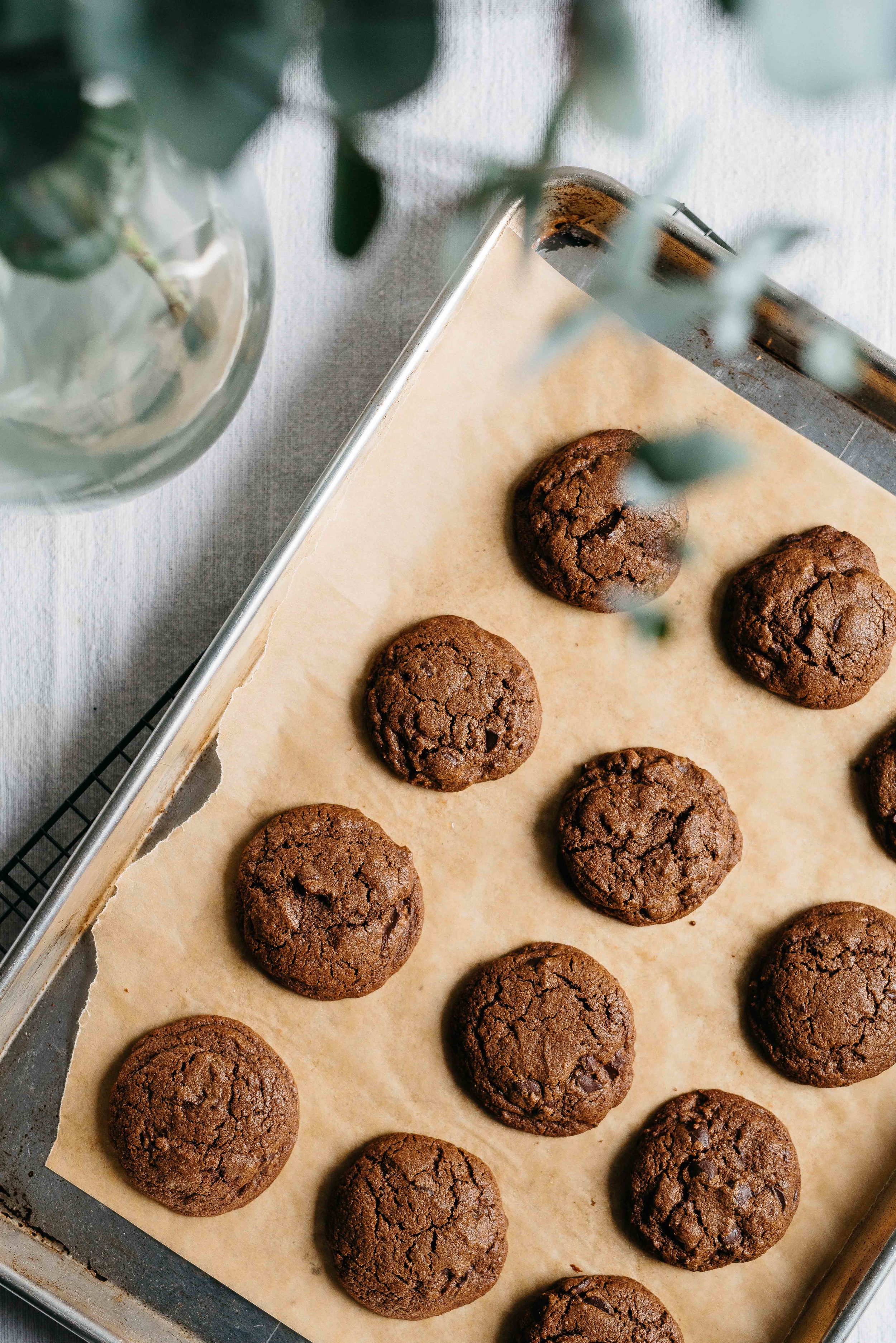 double chocolate gingersnaps (gf + df) | dolly and oatmeal