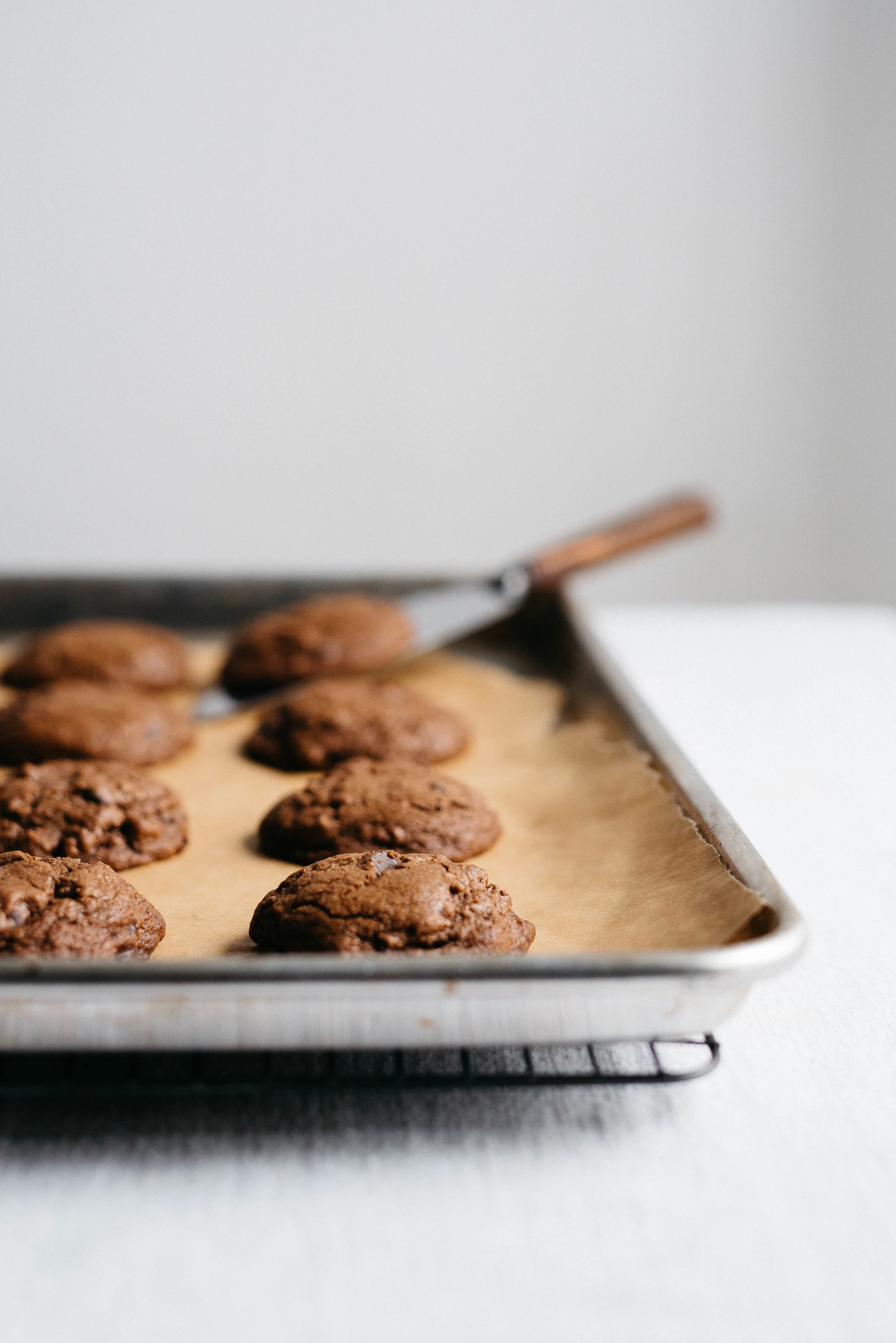 double chocolate gingersnaps (gf + df) | dolly and oatmeal