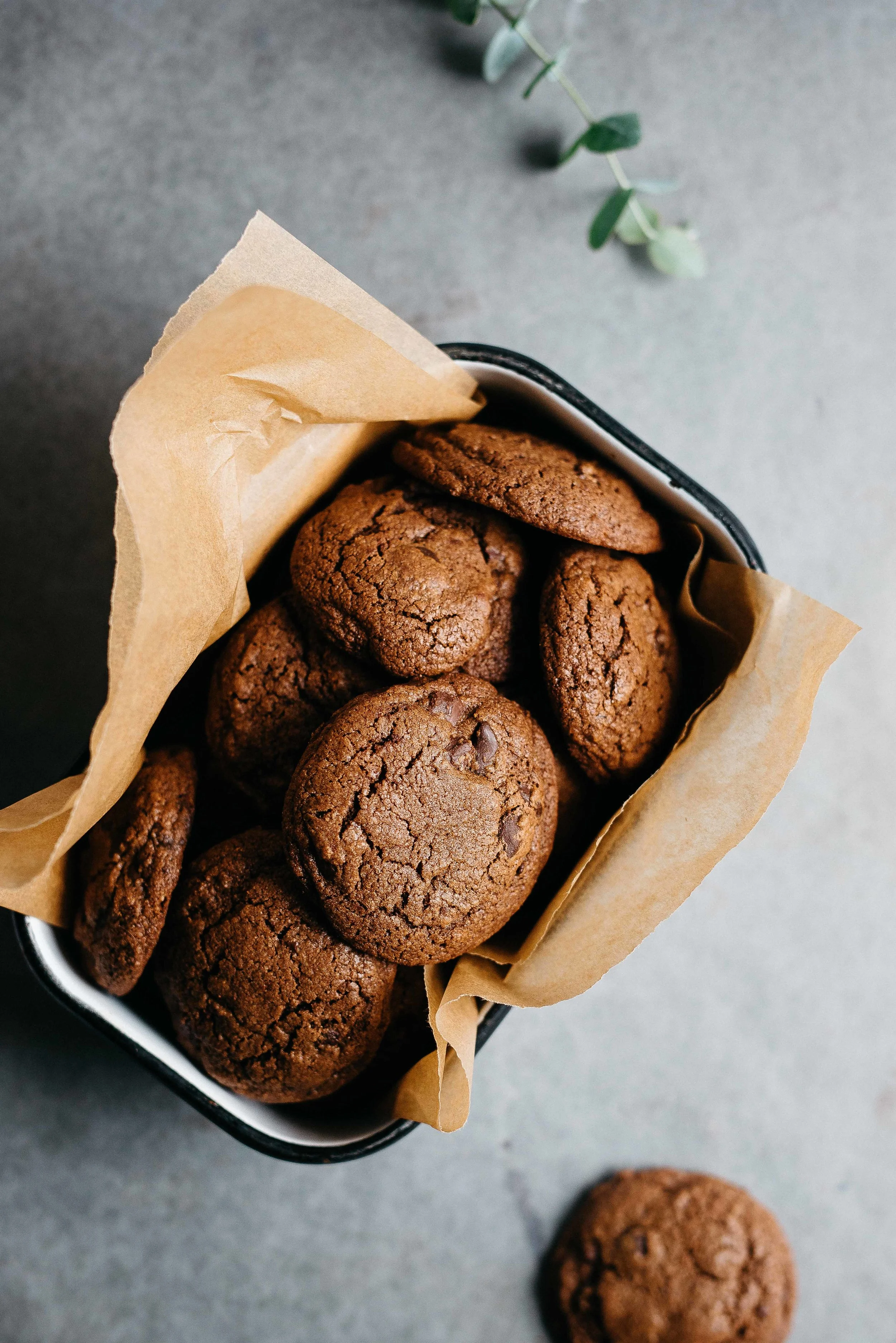 double chocolate gingersnaps (gf + df) | dolly and oatmeal