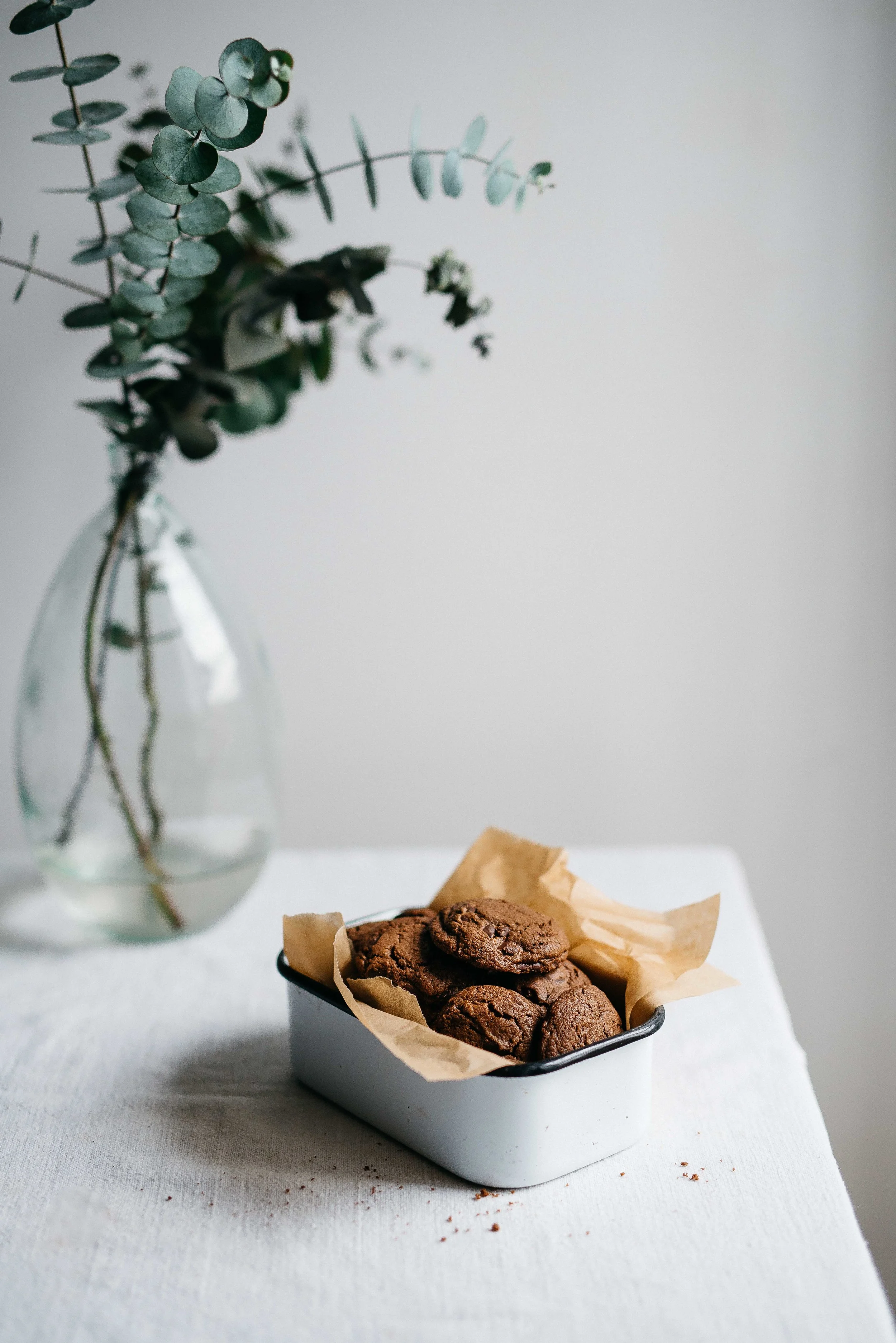 double chocolate gingersnaps (gf +df) | dolly and oatmeal