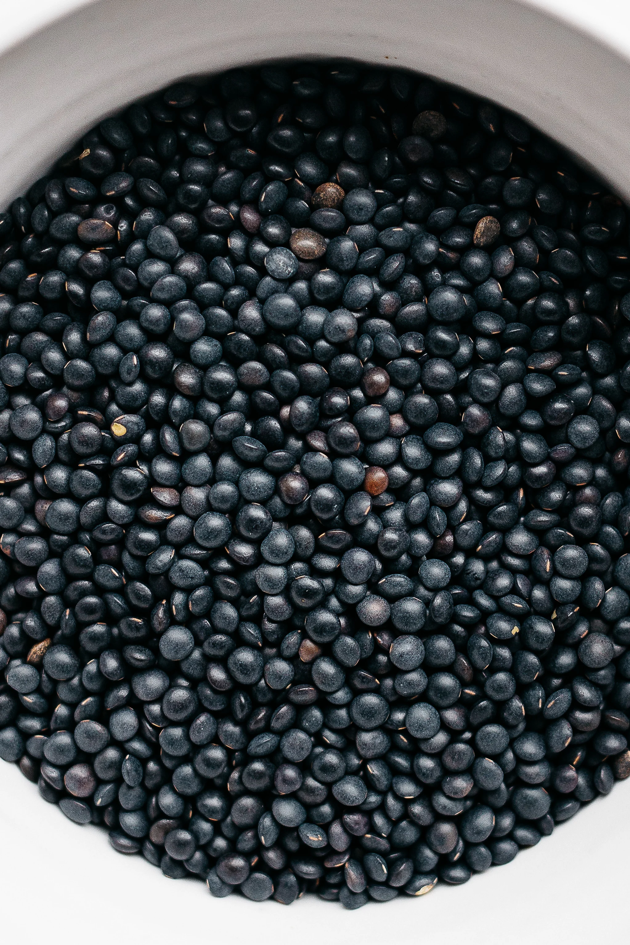 Black beluga lentil hummus w/ roasted fennel + garlic | dolly and oatmeal