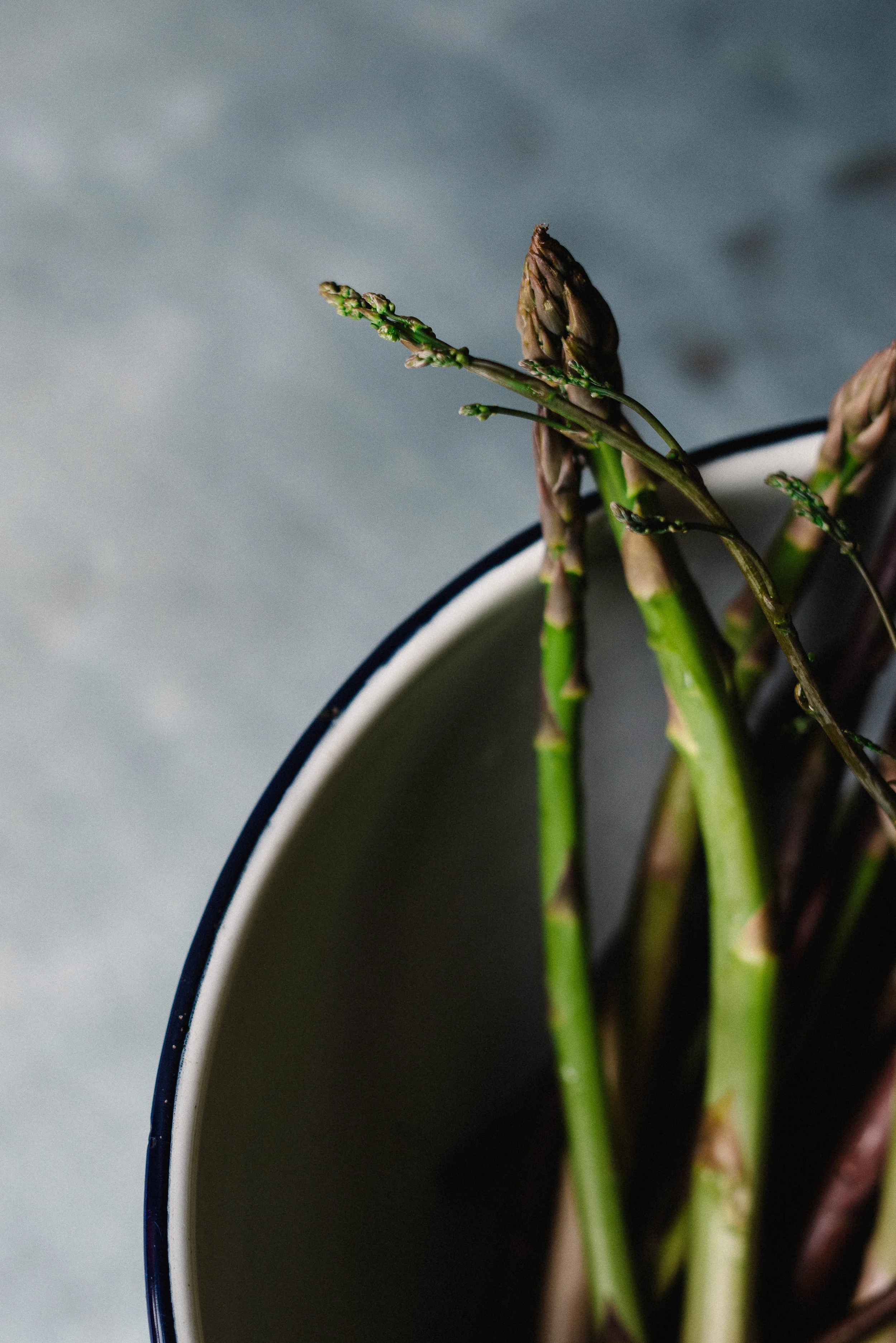 asparagus | dolly and oatmeal