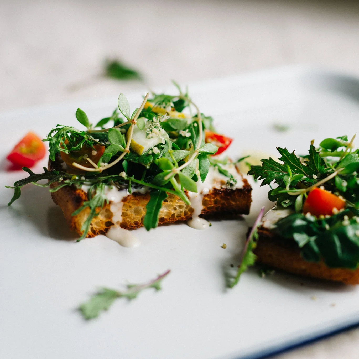 cilantro &amp; hemp salad on toast