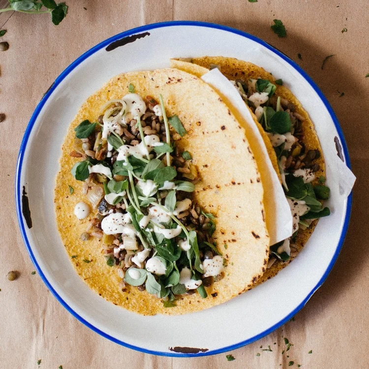 mujadra tacos w/ leeks, spring herbs &amp; pea tendrils