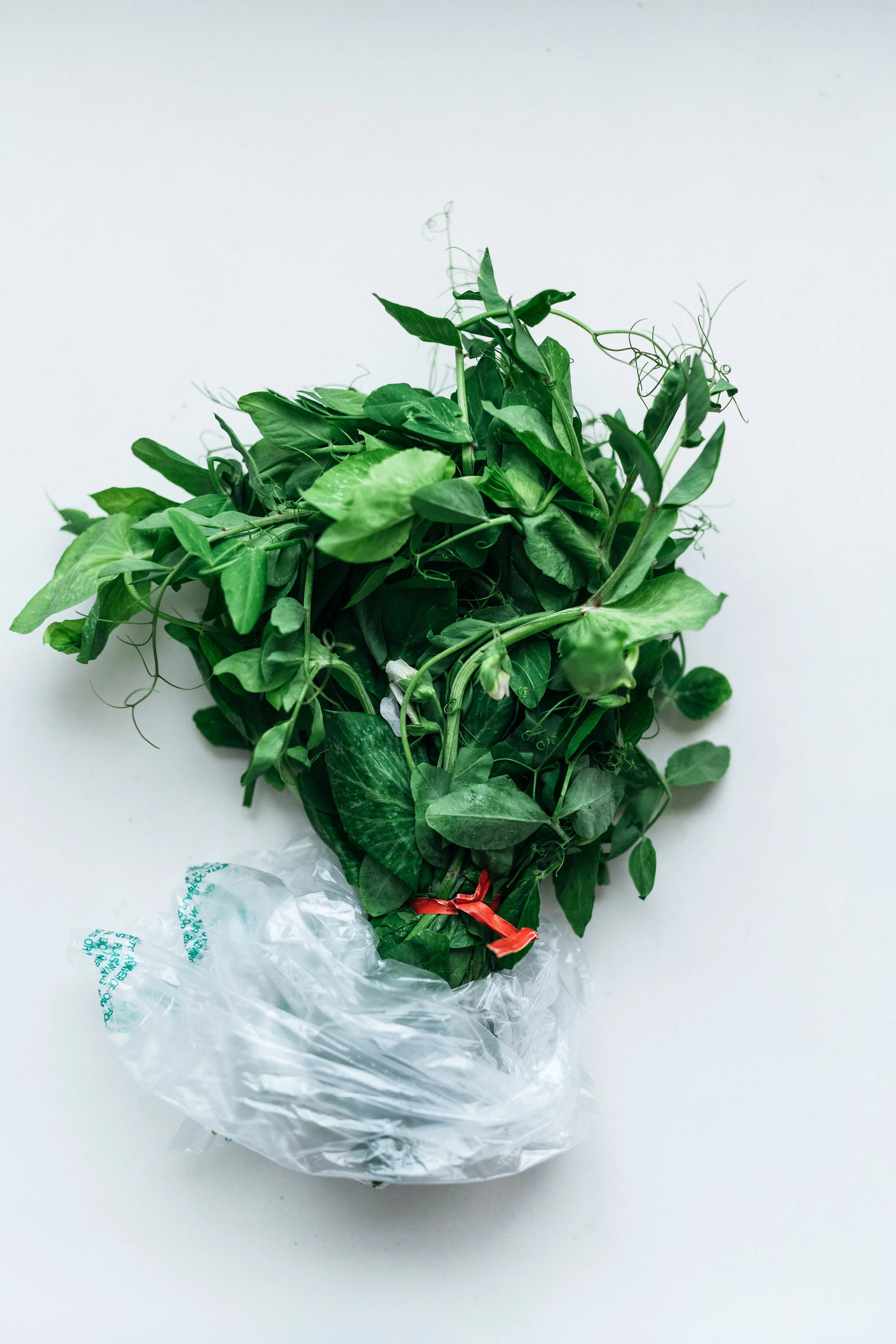 GARLICKY, HERBED CAULIFLOWER RICE W/ PEA SHOOTS | dolly and oatmeal