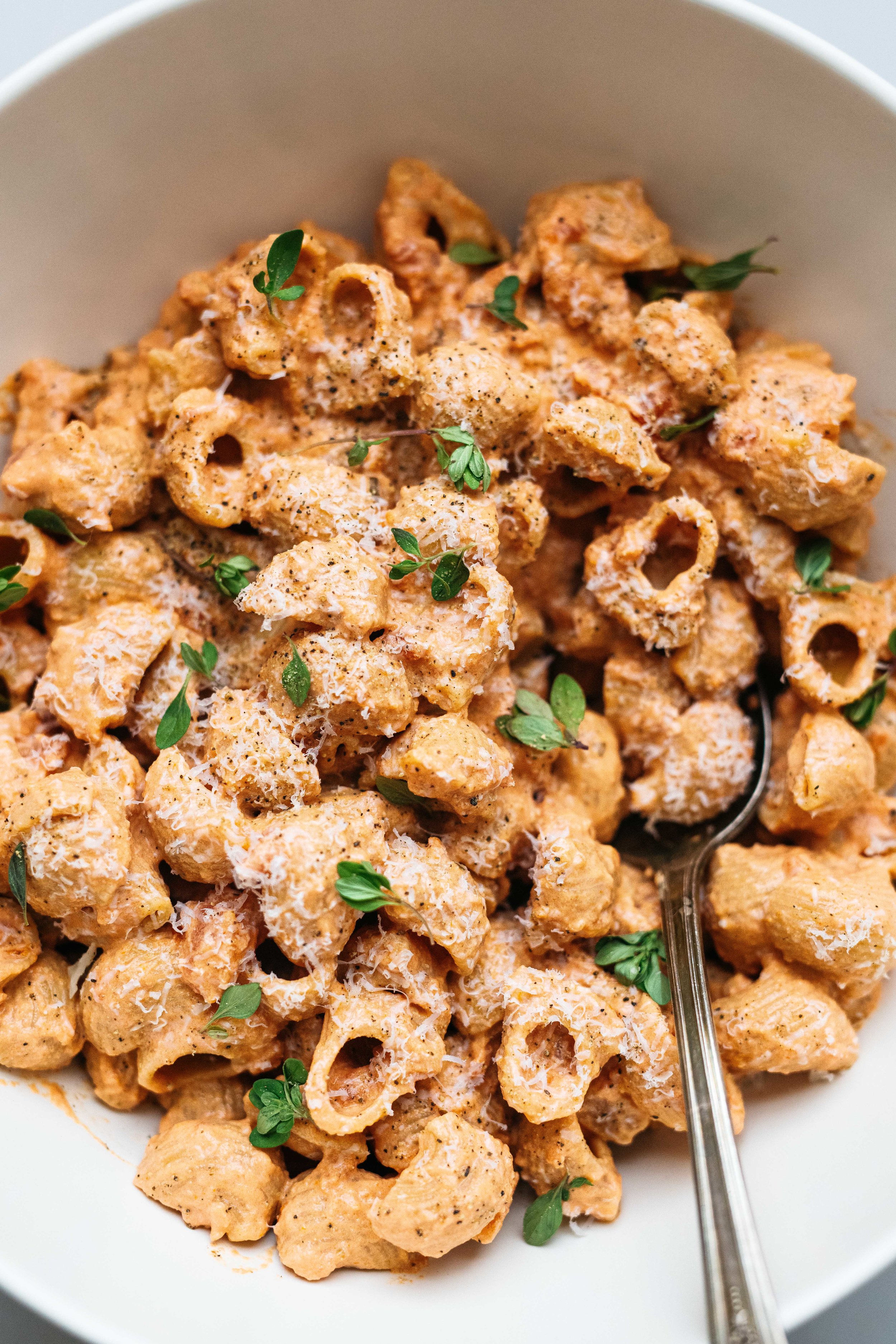 Tomato Cream Sauce Vegan Dolly And Oatmeal Just because you're on a shoestring budget doesn't mean you can't eat like a vegan king. tomato cream sauce vegan dolly and