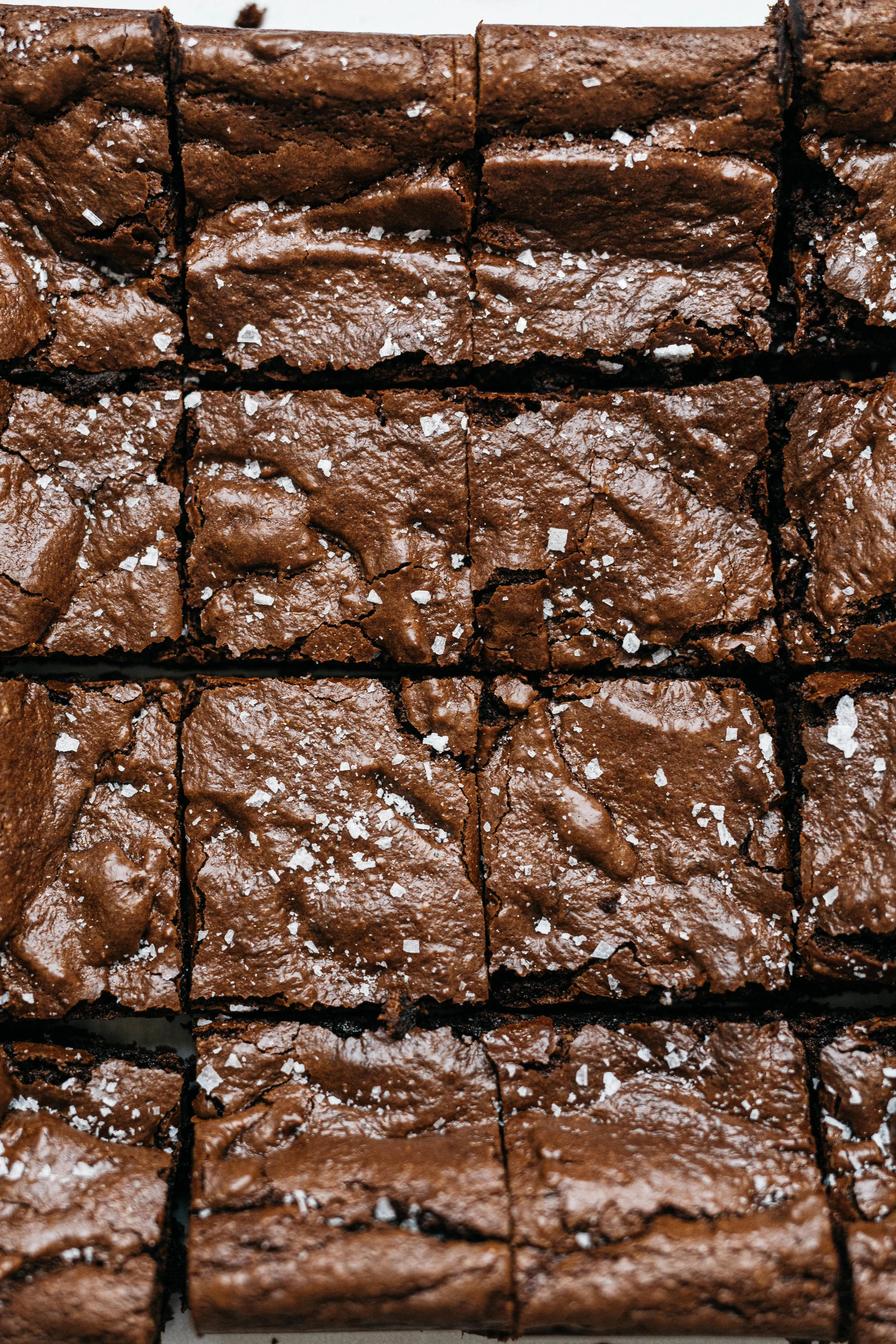 (CRINKLE TOP!) FUDGY FLOURLESS BROWNIES | dolly and oatmeal