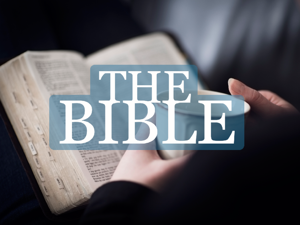 The Bible - Part 6 | Q&amp;A