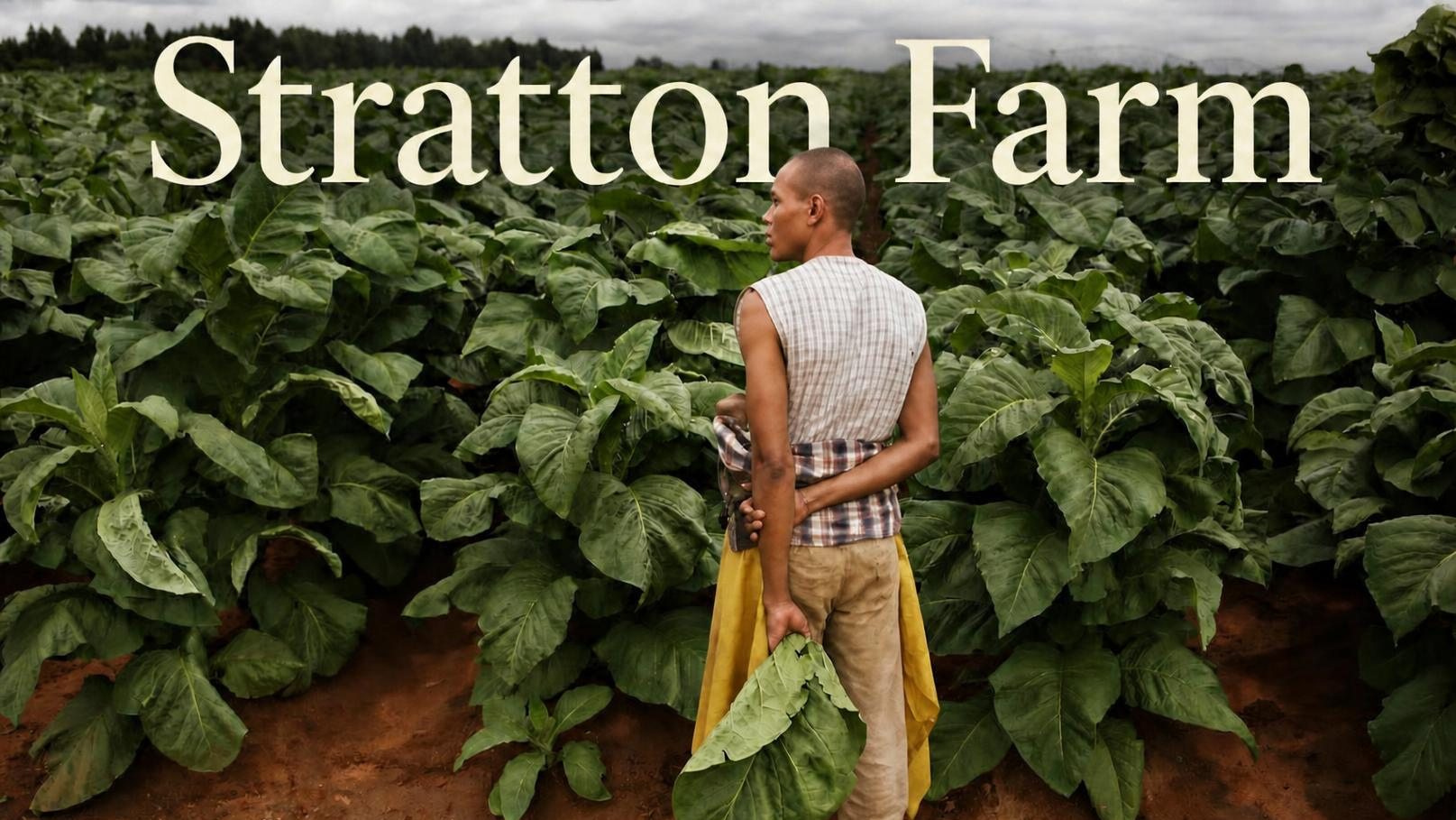STRATTON FARM (Short Drama)