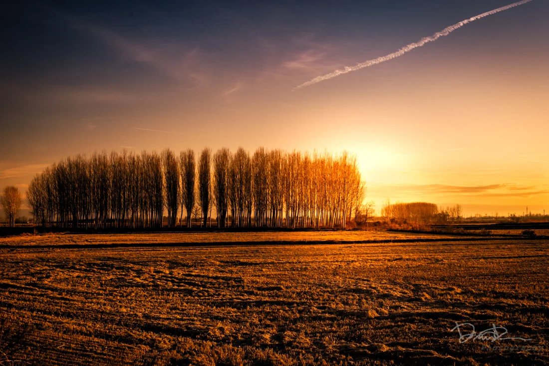 terra-acqua-33.jpg