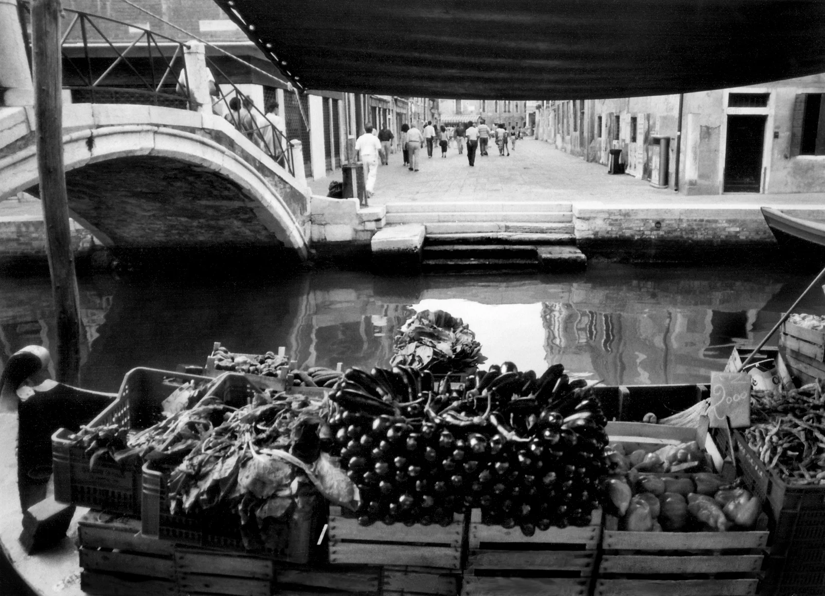 Italian Eggplants copy.jpg