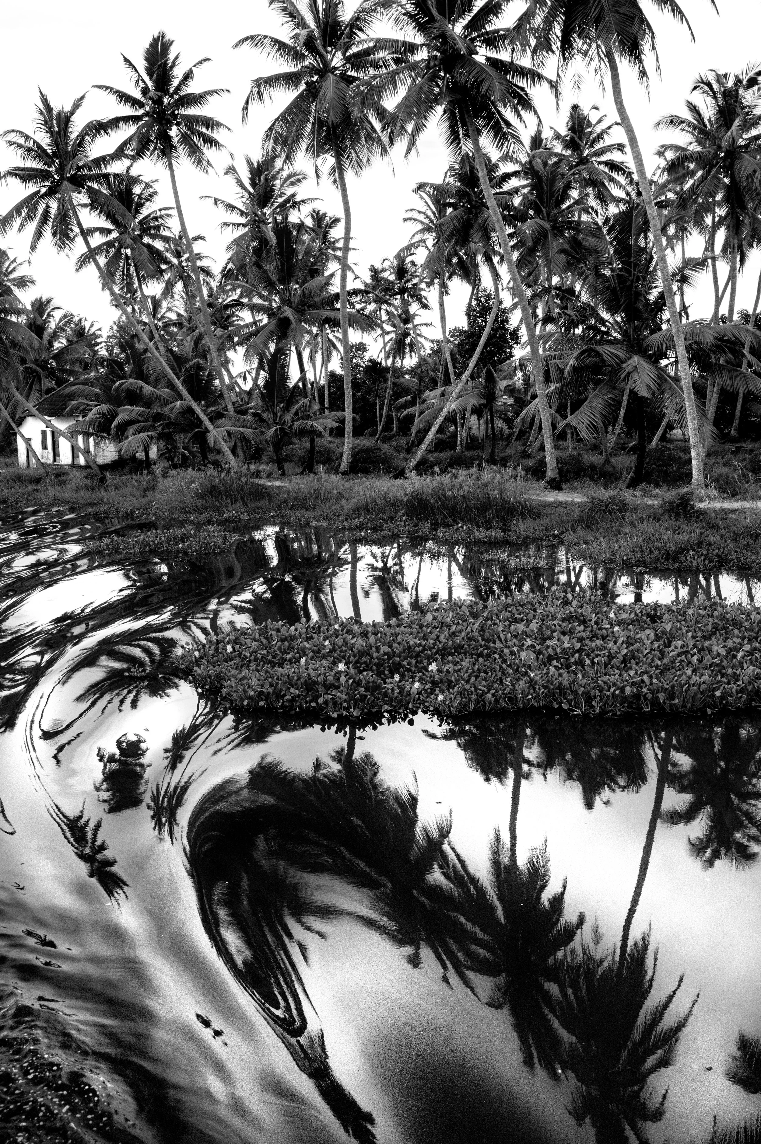 Waterways16 copy.jpg