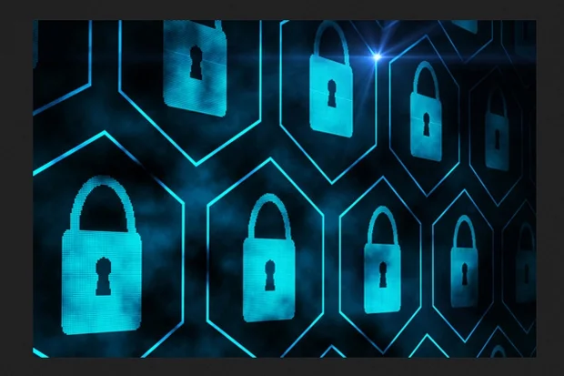 Is privacy the price we must pay for safety?