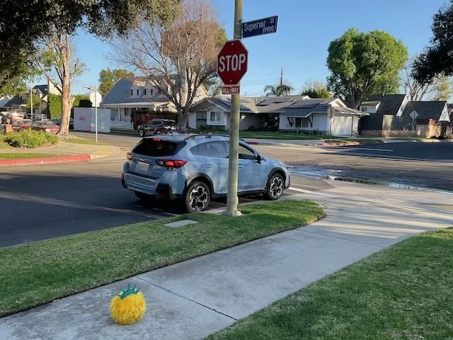  …BIBERTY would ROLL down the sidewalk, into frame… 