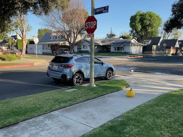  …and then we’d CUT… 