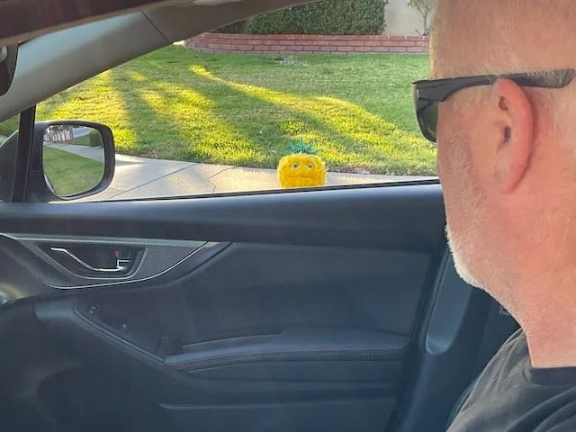  …to INSIDE the HOMEOWNER’S car, to see BIBERTY out the car window.   Biberty:  “As I was saying…”  