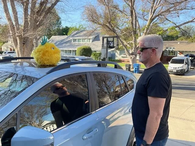  Frame for the Alt. Opening version. Then CUT… 