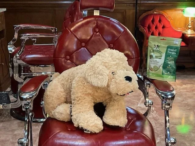  CUT…to the END TREATMENT, where the DOG is in a BARBER’S CHAIR, enjoying his GREENIES DENTAL TREAT beside a BAG of GREENIES, as SUPERS and the VO inform us…   Super/VO: Fresh Breath. Zero Boundaries.                               Super/VO: Greenies.