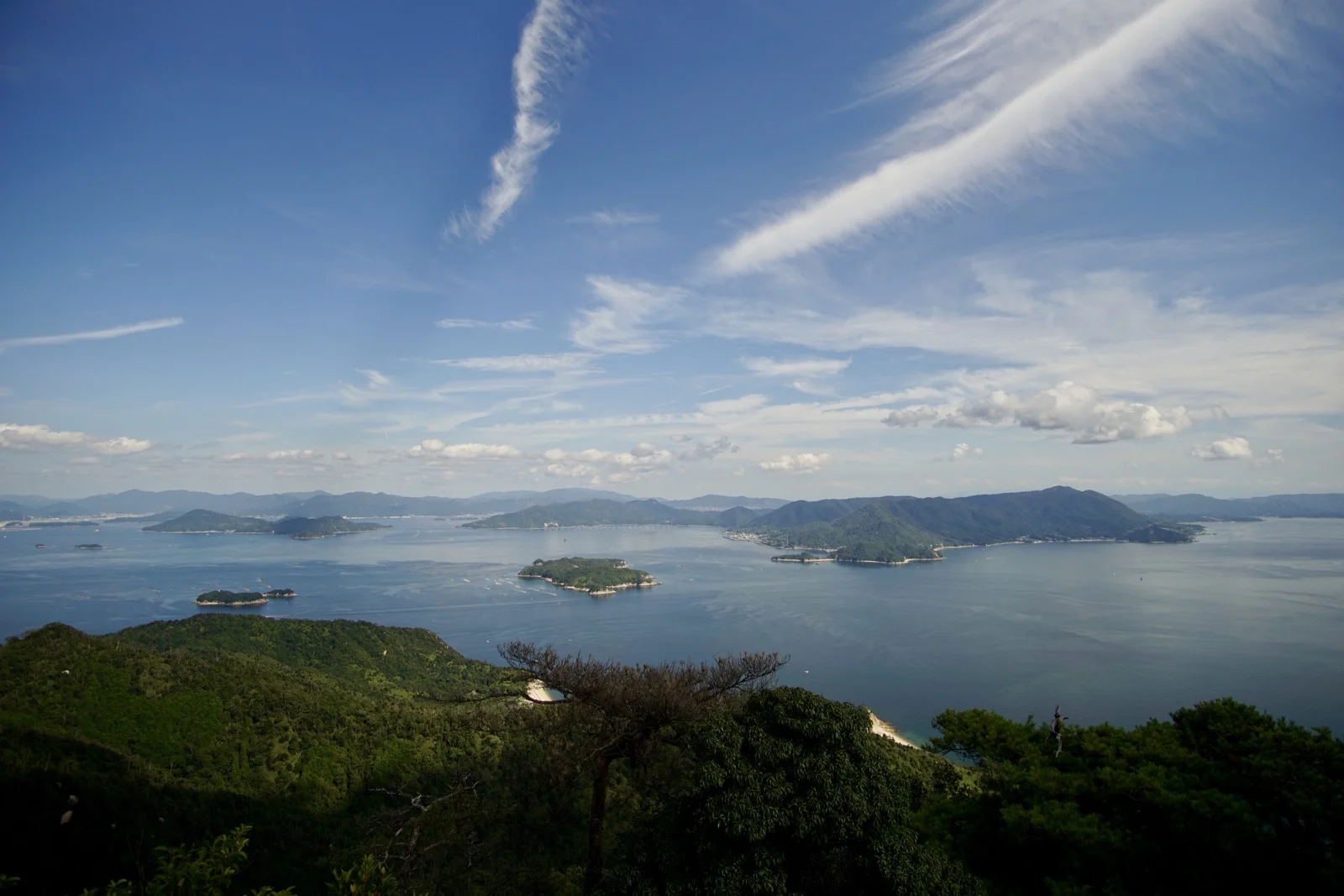 DSC02389.jpg