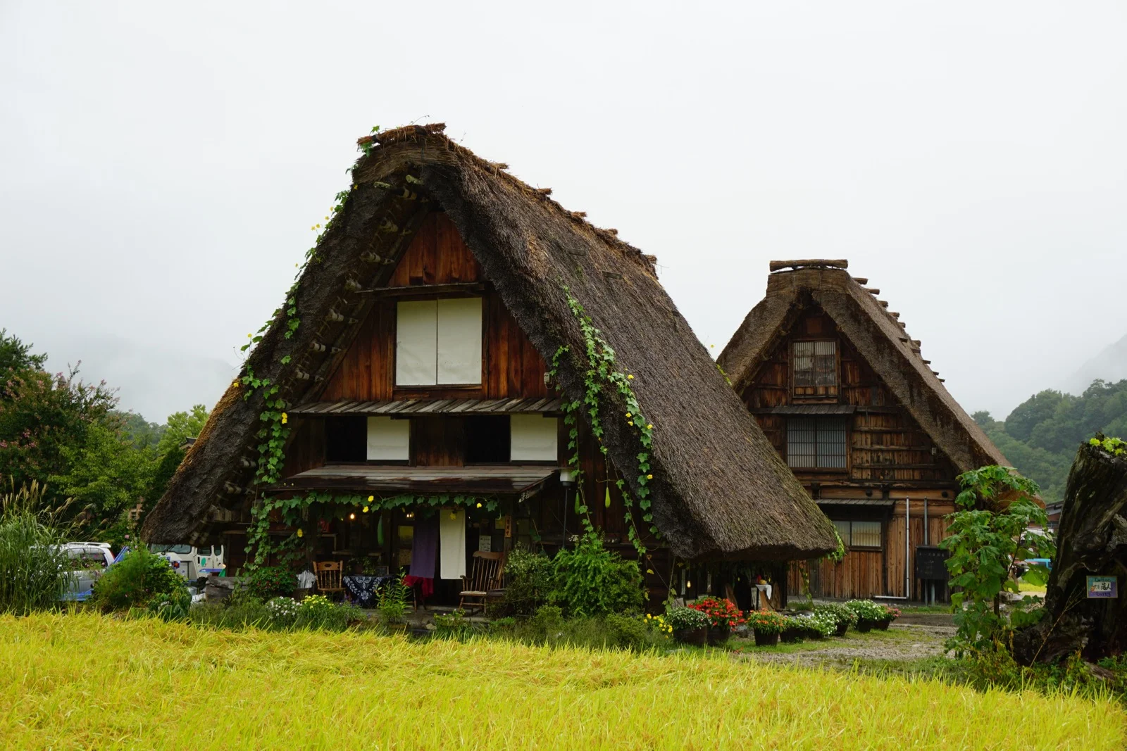 DSC01450.jpg