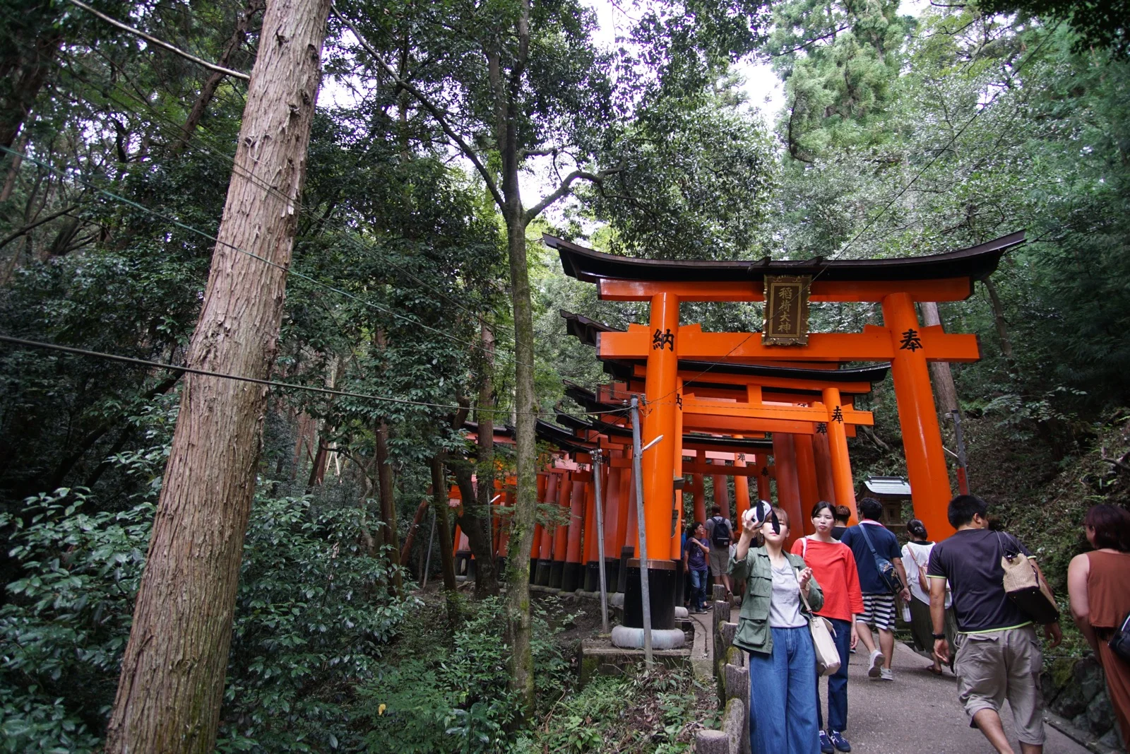 DSC01674.jpg